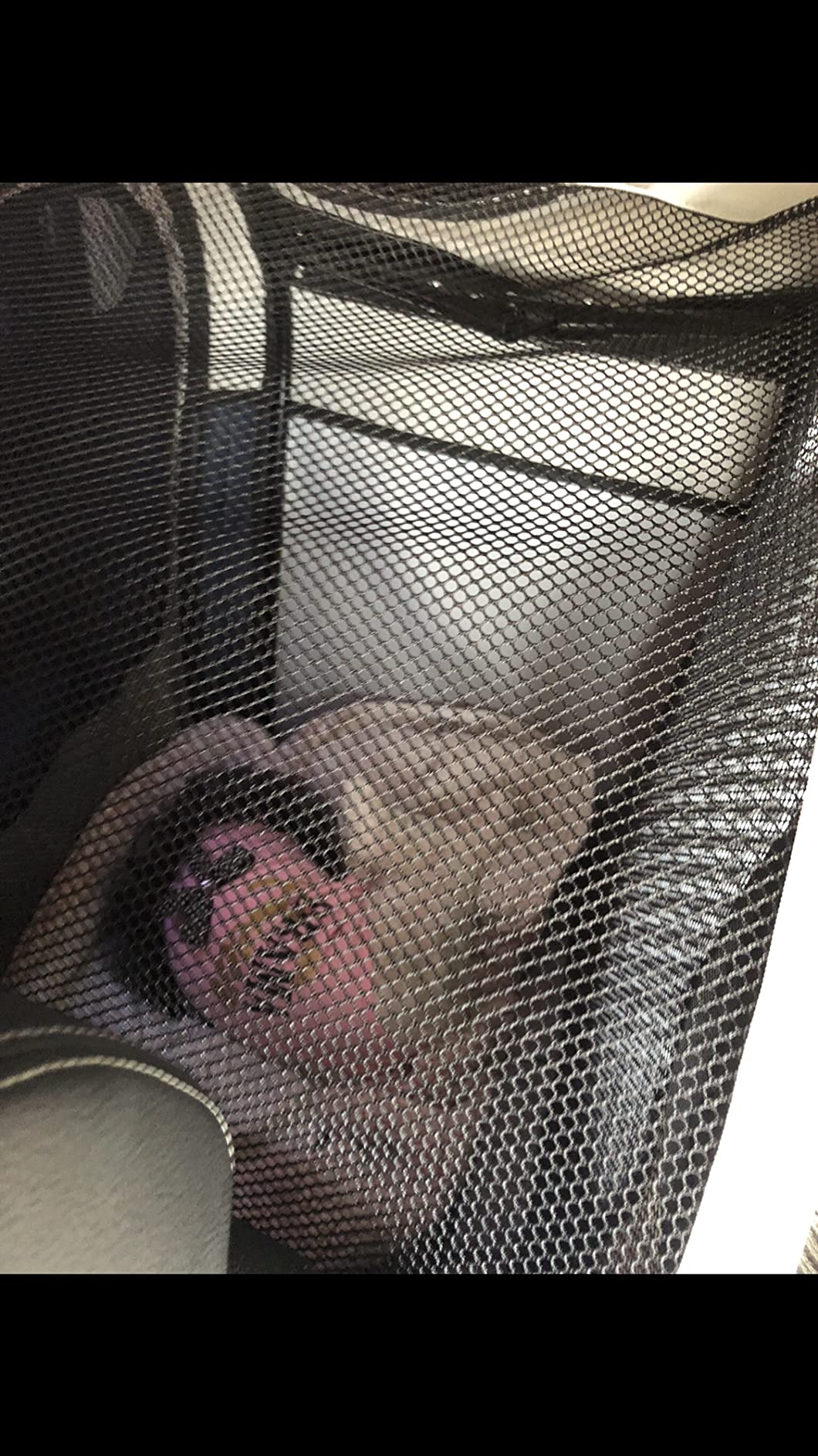 PetSafe Happy Ride Collapsible Travel Dog Crate customer photo 2
