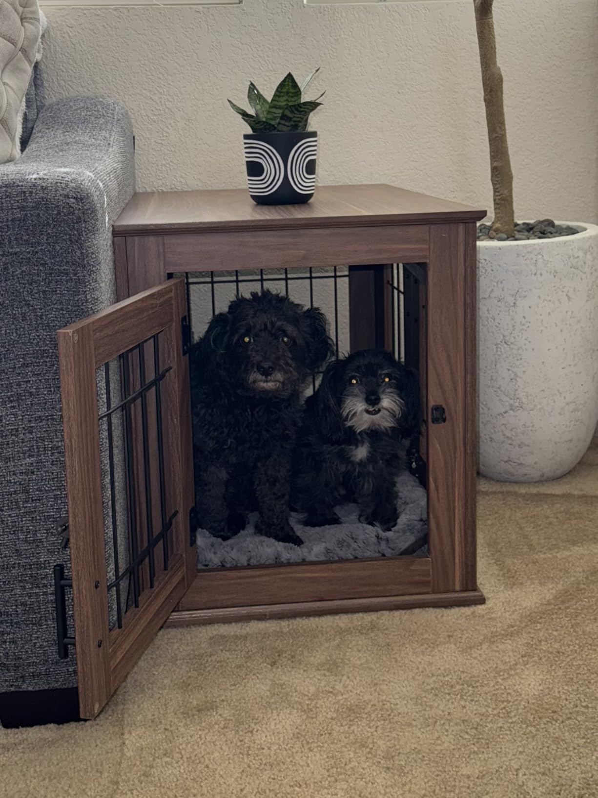 beeNbkks Furniture Style Dog Crate End Table, Double Doors Wooden Wire Dog Kennel with Pet Bed, Decorative Pet Crate Dog House Indoor Medium Large customer photo 2