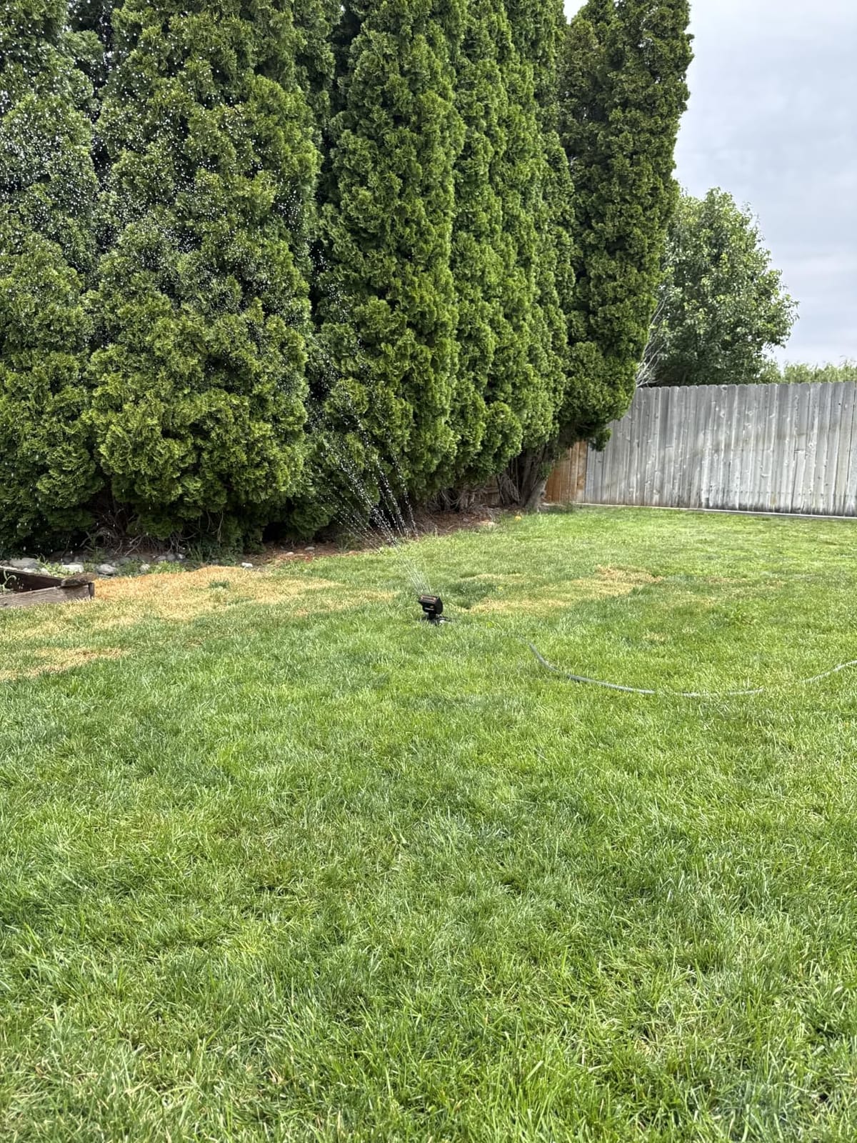 Melnor MiniMax Turbo Sprinkler, 4000 Sq Ft: 360°, Flow, Width, Range Adjust customer photo 1