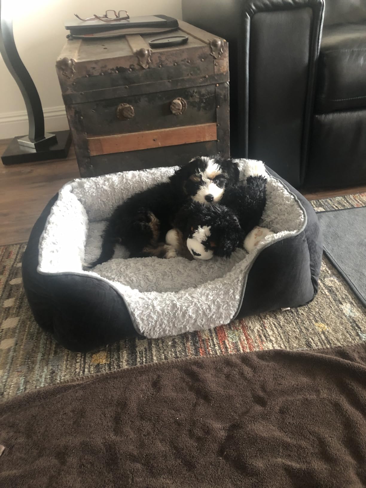 INVENHO Large Dog Bed for Large Medium Small Dogs, Rectangle Washable Orthopedic Dog Bed, Soft Calming Sleeping Puppy Bed Durable Pet Cuddler with Anti-Slip Bottom L(30