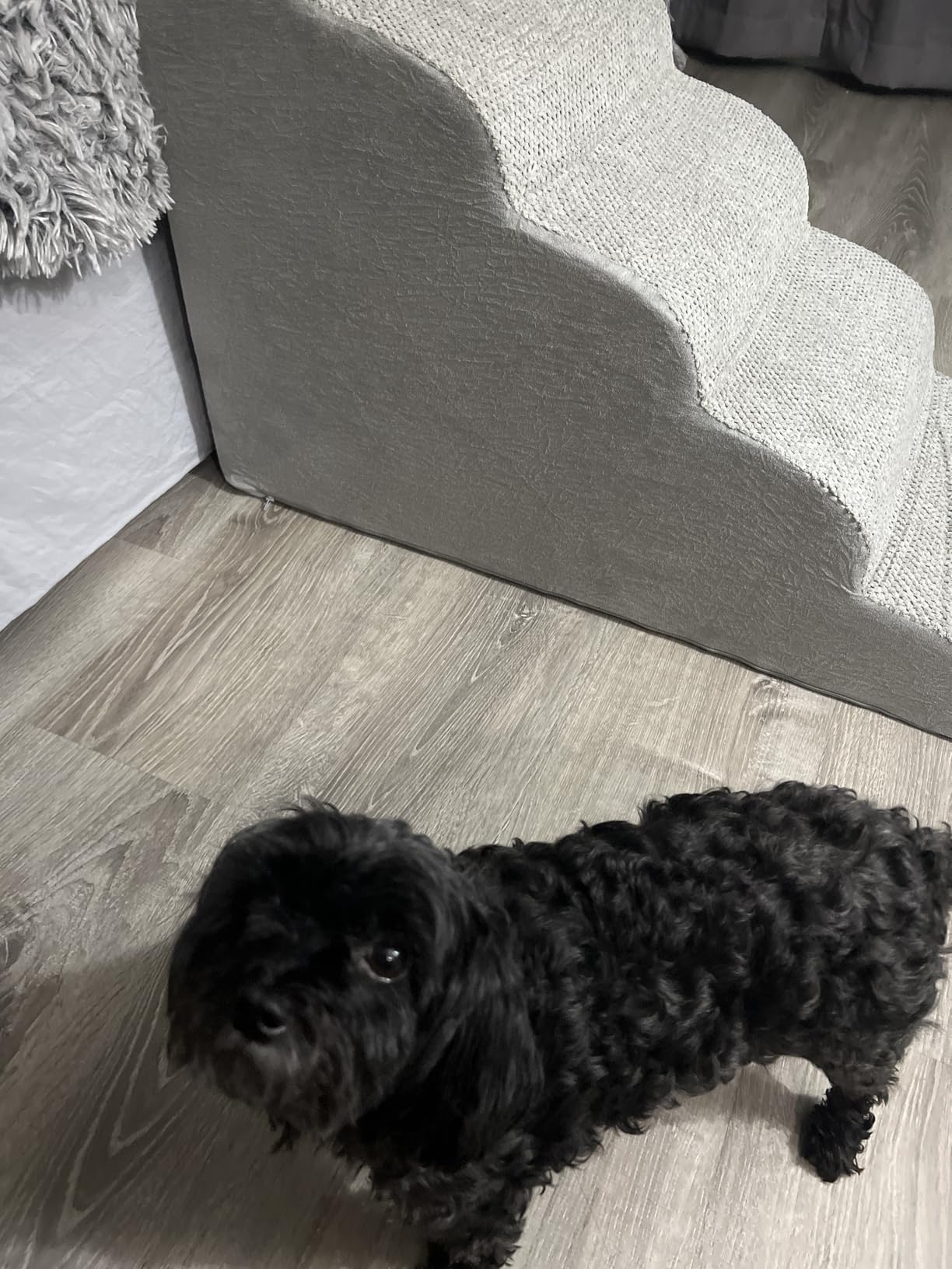 Dog Stairs for Small Dogs, 3 Tiers High Density Foam Dog Ramp, Extra Wide Non-Slip Pet Steps for High Beds Or Couch, Soft Foam Doggie Ladder for Dogs Injured, Older Pets, Small Cats customer photo 1