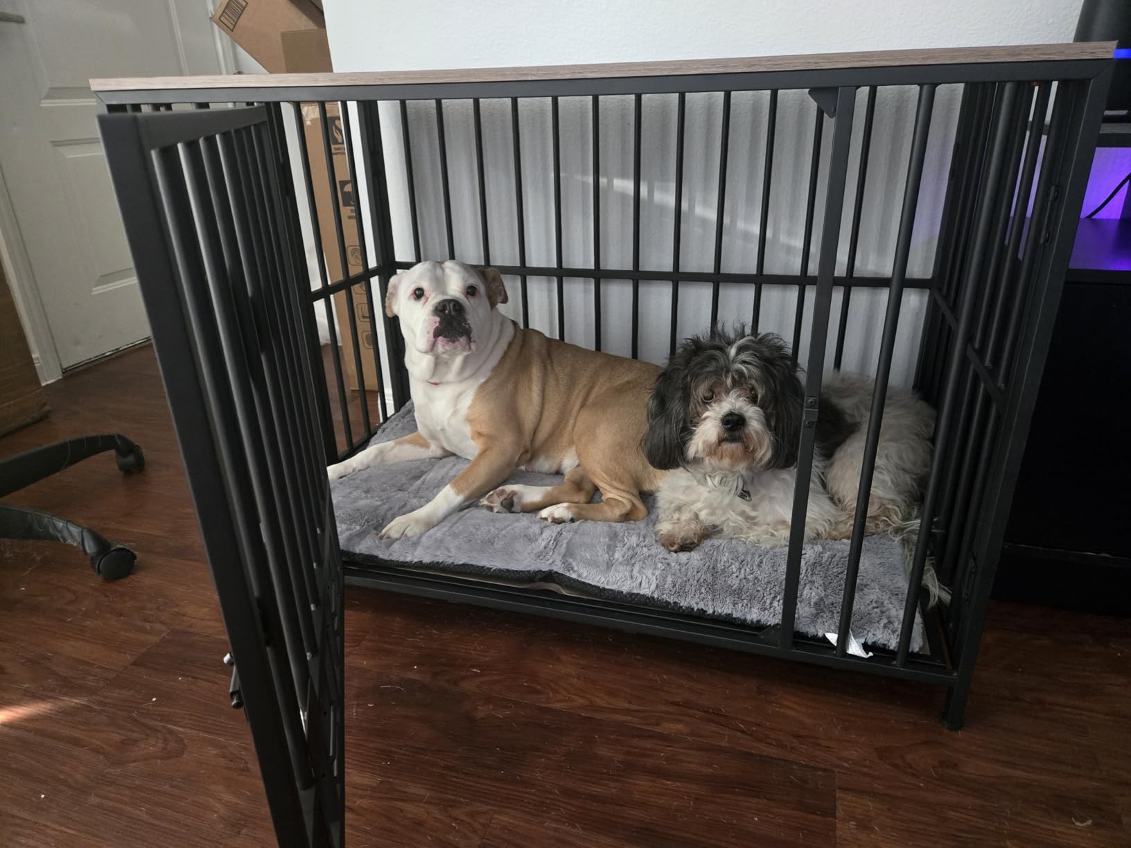 Dog Crate Pad Washable Dog Bed for Crate Medium Cozy Mat 36-Inch Gray customer photo 1