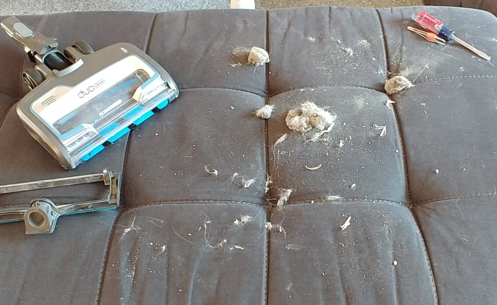 Shark Stratos Cordless Vacuum, Clean Sense IQ & Odor Neutralize, IZ862H customer photo 2