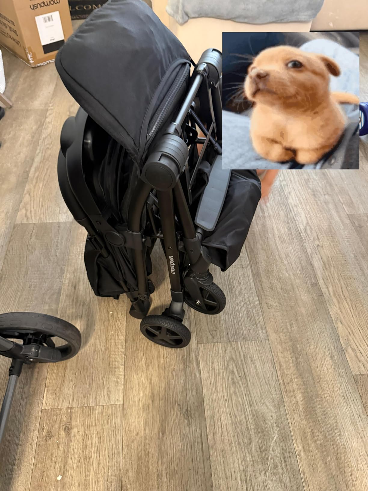 Mompush Lithe V2 Lightweight Travel Stroller Snack Tray Included, Khaki customer photo 1