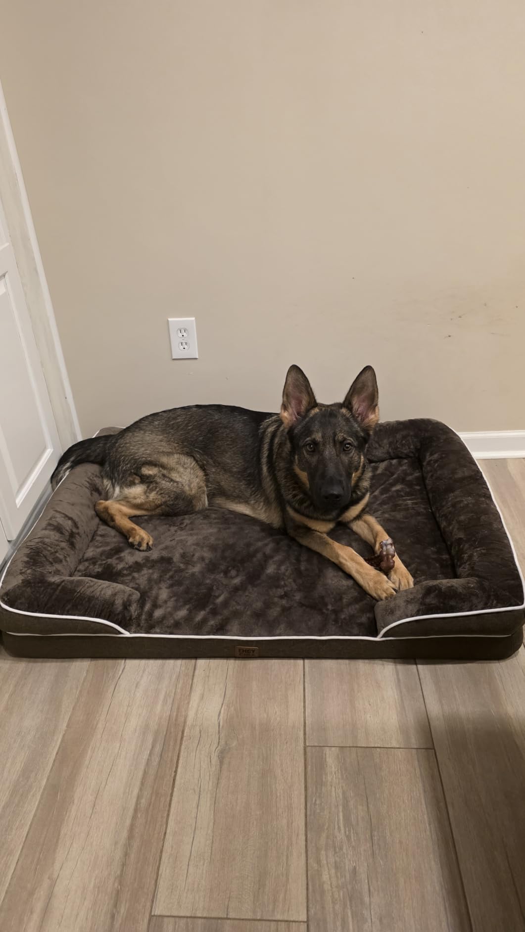 EHEYCIGA Orthopedic Dog Bed Medium Size Dog, Waterproof Washable Pet Beds customer photo 2