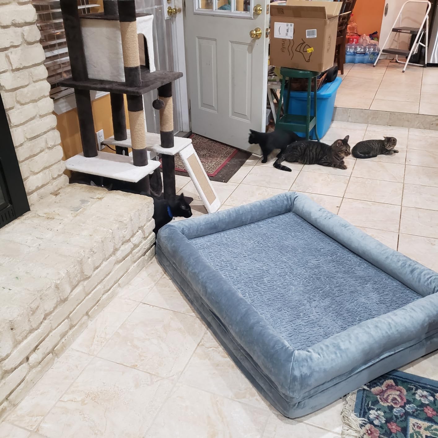 Orthopedic Waterproof Dog Bed for Small Dogs with 4-Sided Bolster customer photo 1
