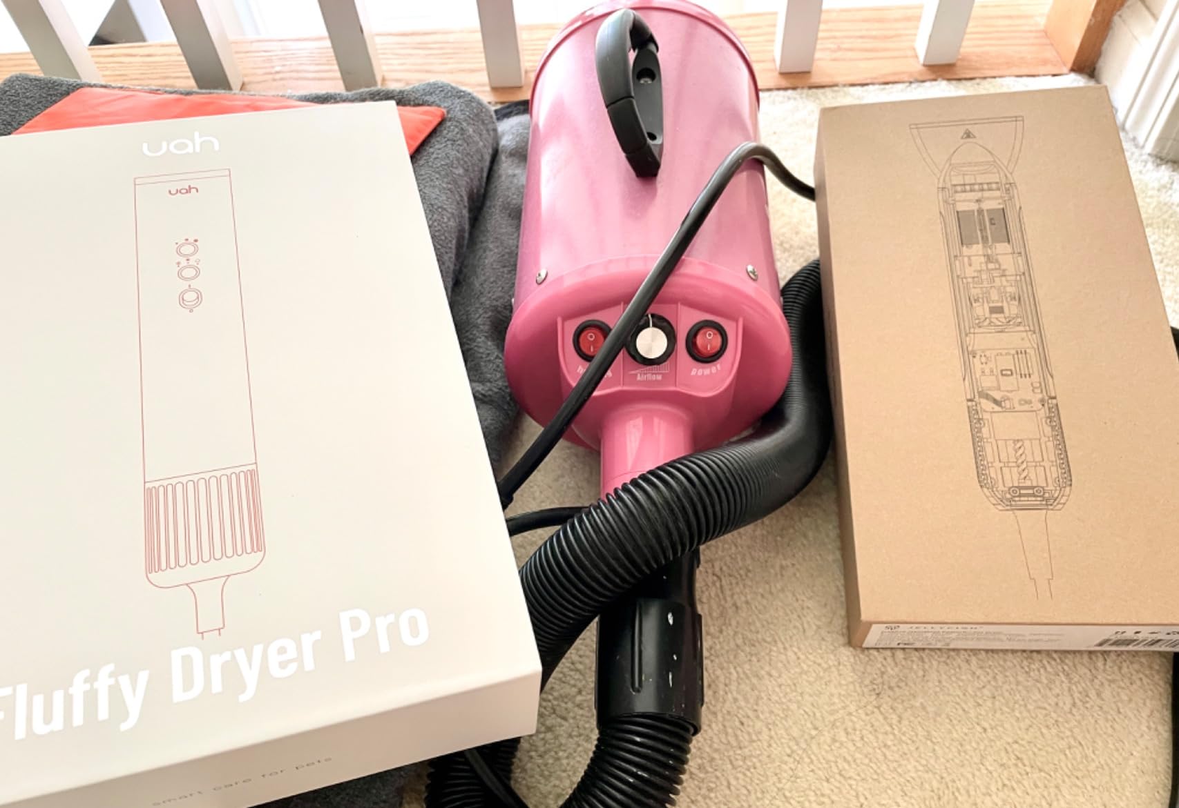 Jellyfish Handheld Dog Dryer - 1.21lb Lightweight, 2 Speeds, 4 Temp, Portable High Velocity Blow Dryer for Travel & Home customer photo 1