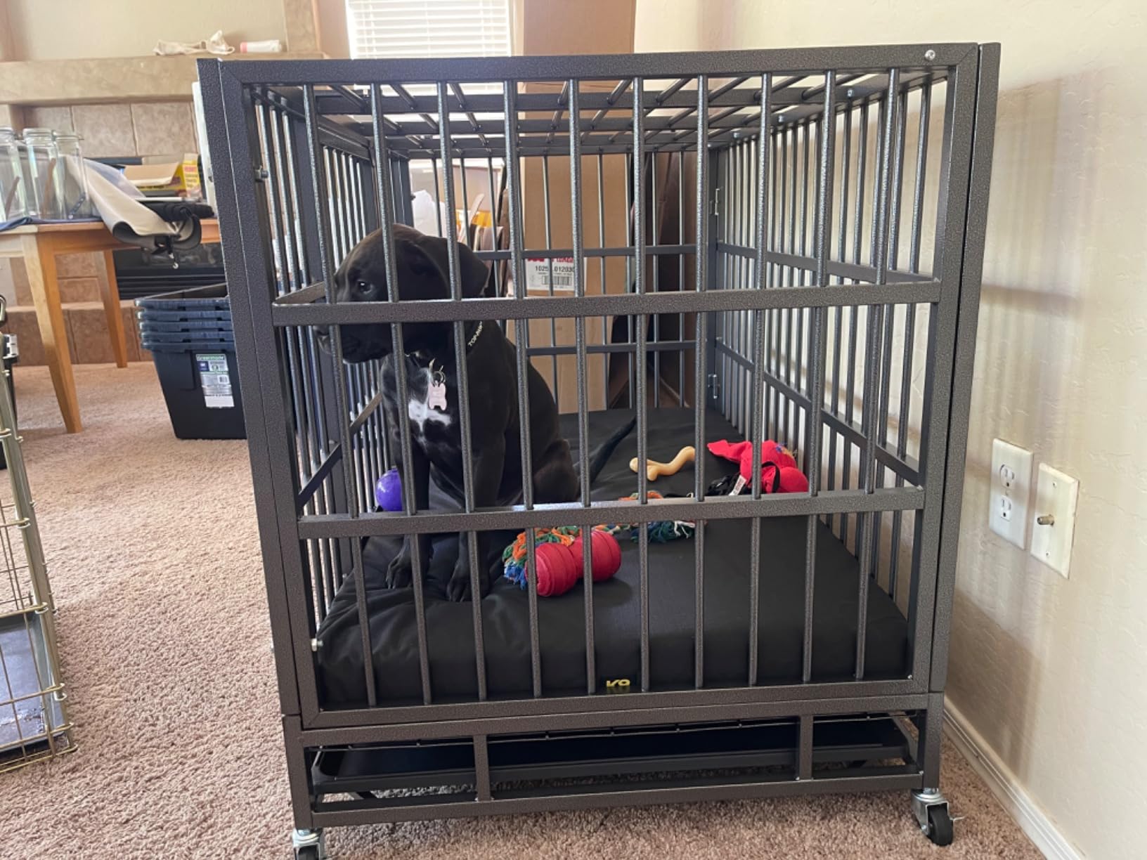 K9 Ballistics Tough Ripstop Orthopedic Crate Bed, 41 x 27, Obsidian Black customer photo 1