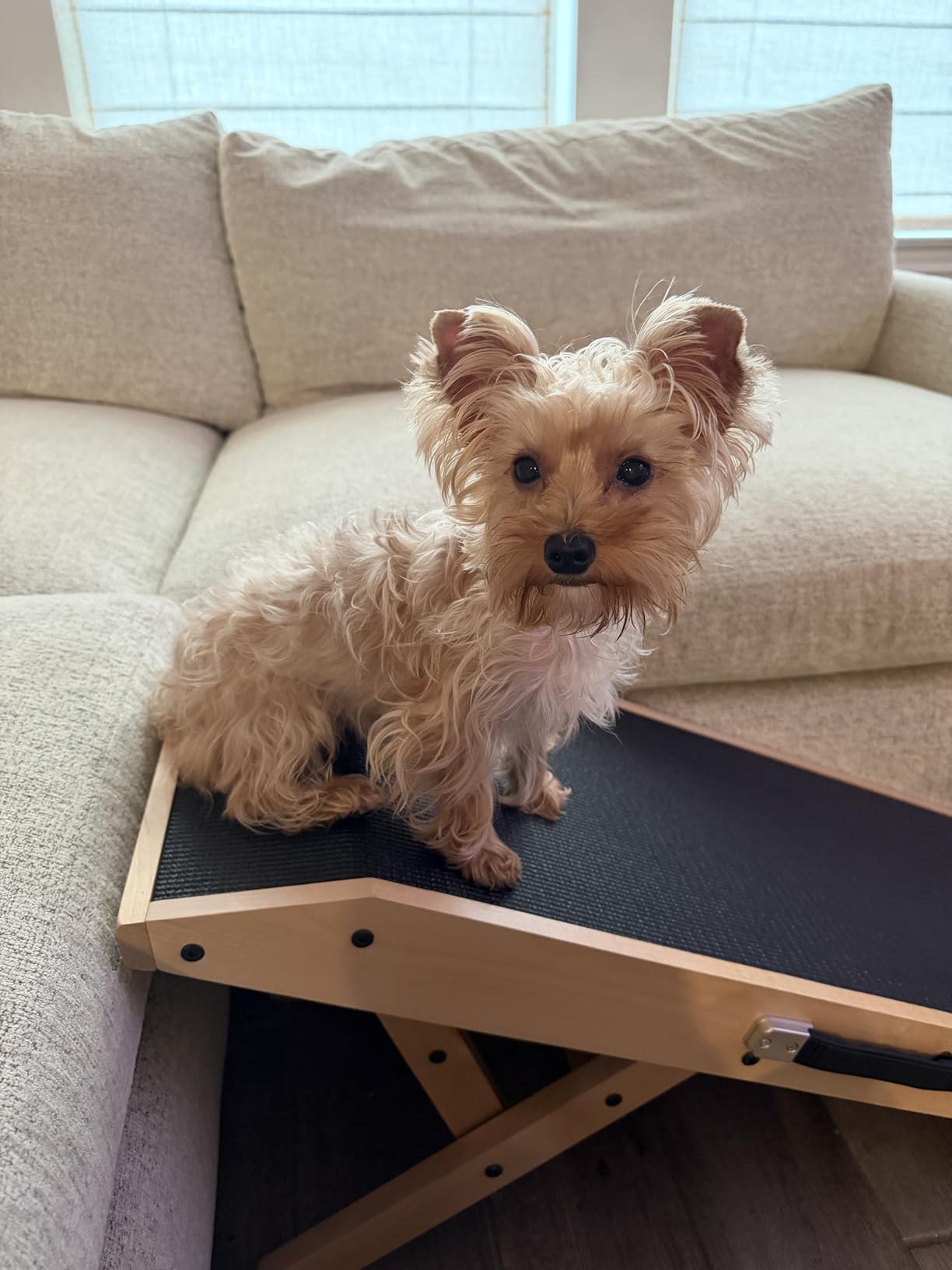Dog Ramp for Couch – Non-Slip, Sturdy Build Foldable Wooden Dog Ramp – Supports up to 200 lbs – 7 Adjustable Heights (14