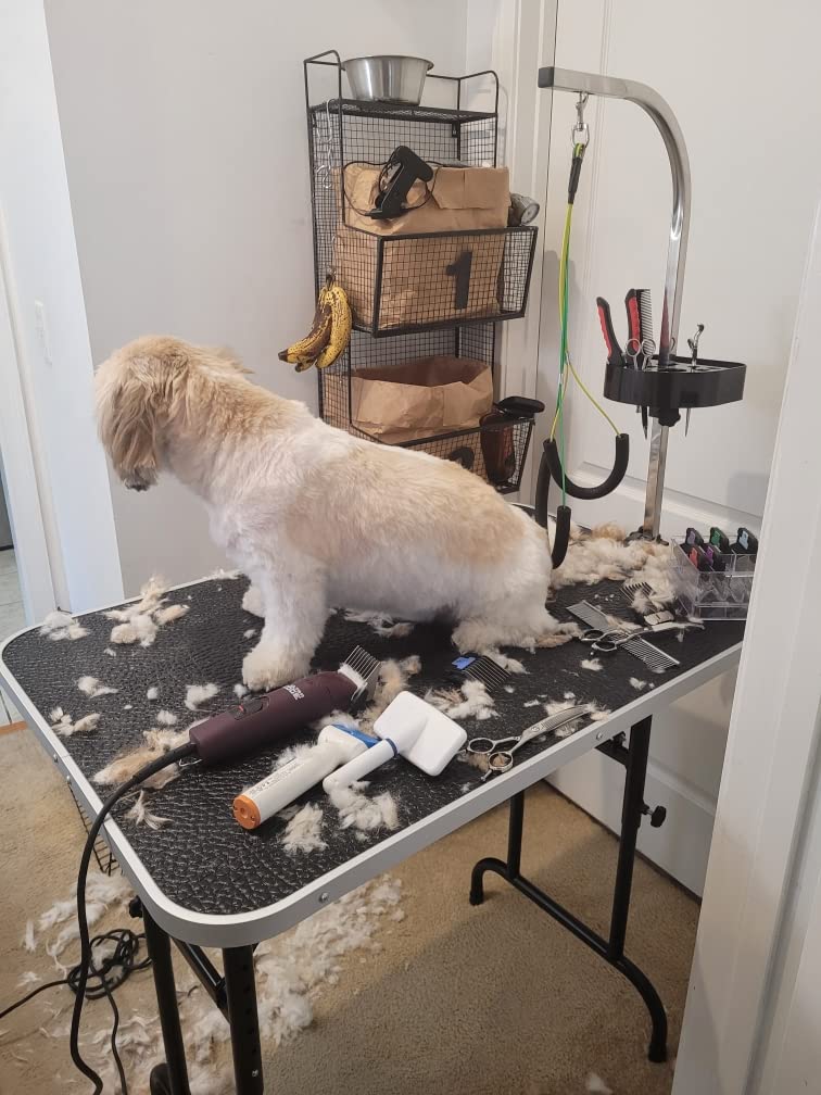 LEIBOU 36-inch Height Adjustable(23''~33.8'') and Foldable Pet Dog Grooming Table with Grooming Arm & 2 Noose for Dog Cat Pet Grooming Maximum Capacity Up to 260lbs customer photo 2