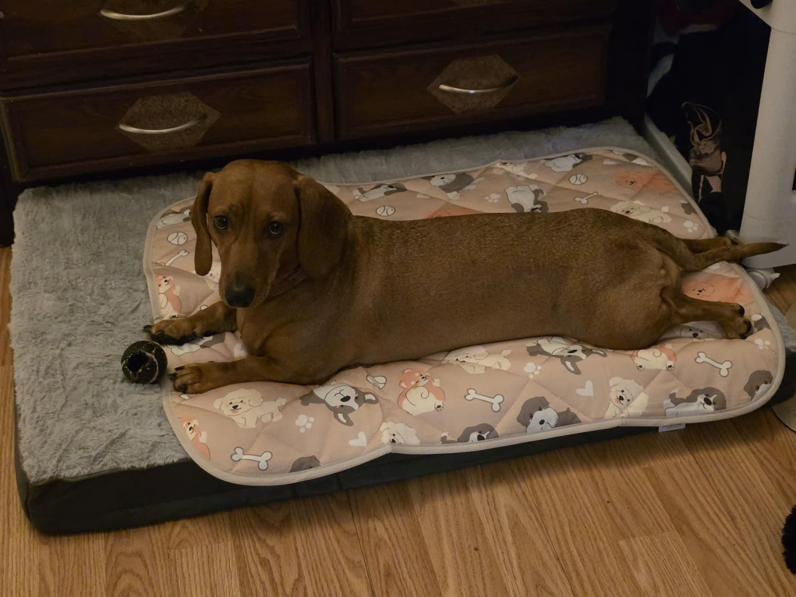 Sunheir Washable Orthopedic Large Dog Bed with Removable Cover, Pet Bed Mat customer photo 1