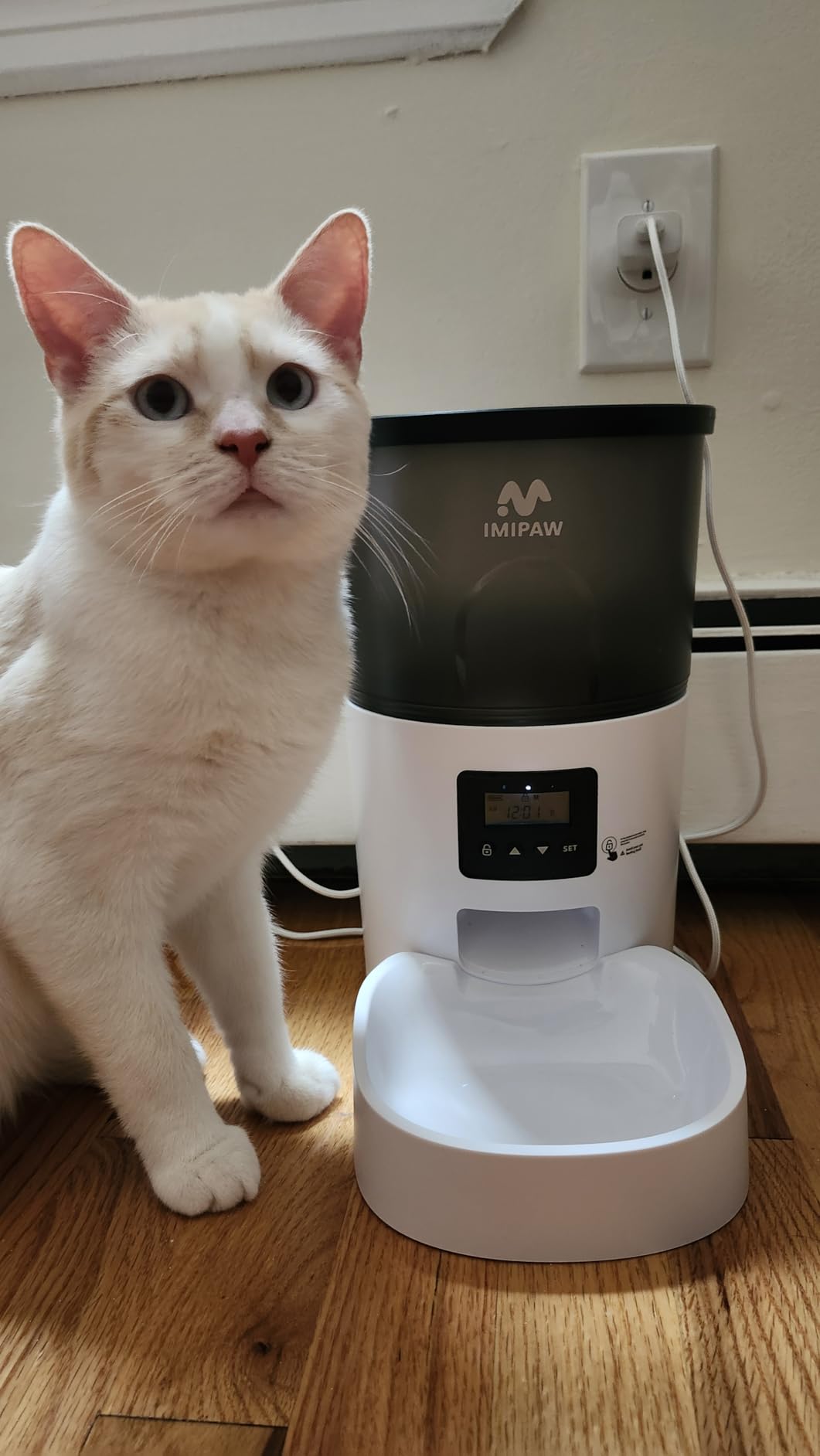 IMIPAW Automatic Cat Feeders, Timed Cat Dry Food Dispenser with Desiccant Bag, Dual Power Supply, Programmable Portion Size, 6 Meals, 20 Portions Per Day, Auto Pet Feeder for Cats and Small Dog, White customer photo 1