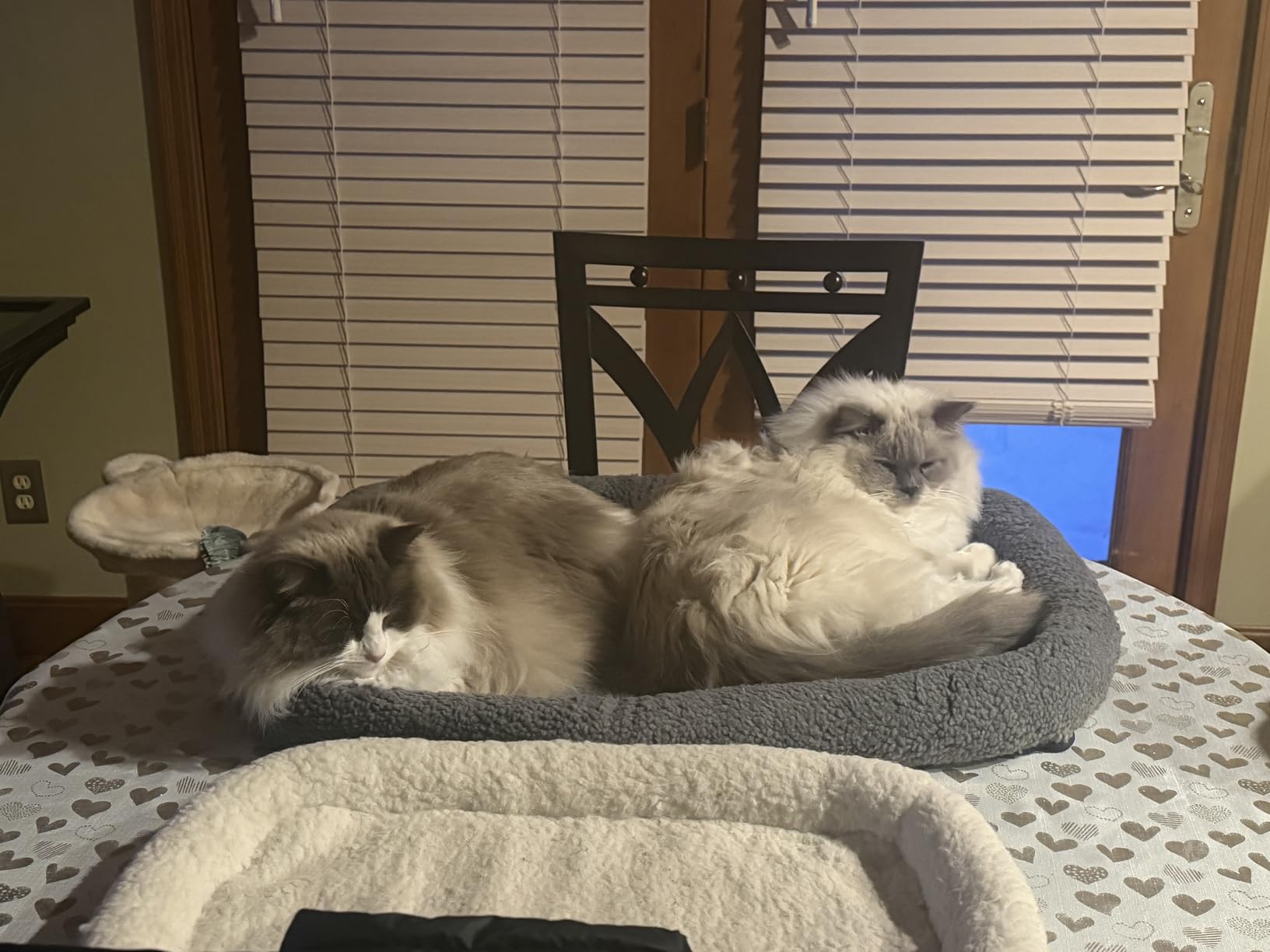 Furhaven Dog Bed for Small Dogs & Indoor Cats, 100% Washable, Sized to Fit Crates - Sherpa Fleece Bolster Crate Pad - Gray, Small customer photo 1