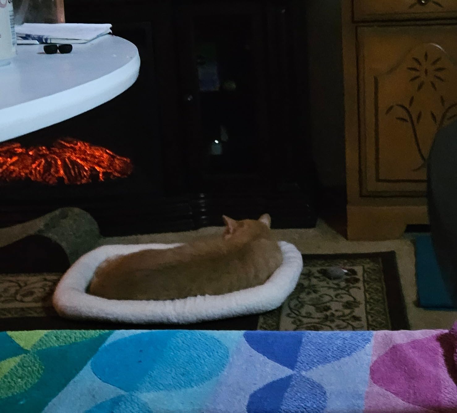 Furhaven Dog Bed for Small Dogs & Indoor Cats, 100% Washable, Sized to Fit Crates - Sherpa Fleece Bolster Crate Pad - Gray, Small customer photo 2