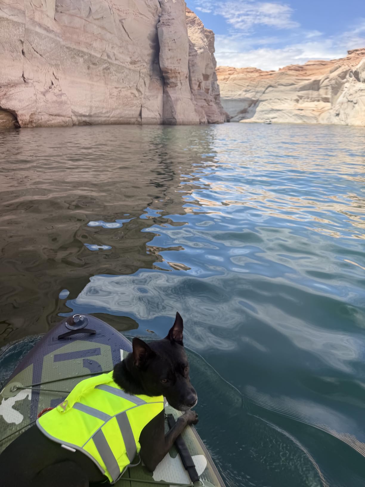 Kuoser Reflective Dog Life Jacket, Dog Life Vest for Swimming Boating customer photo 1