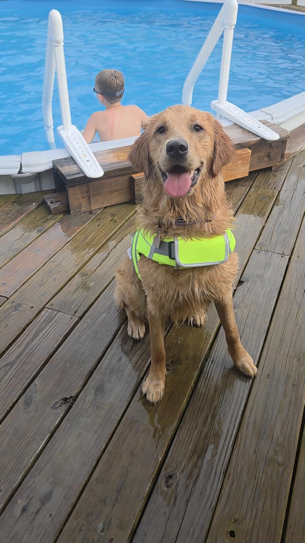 Kuoser Reflective Dog Life Jacket, Dog Life Vest for Swimming Boating customer photo 2