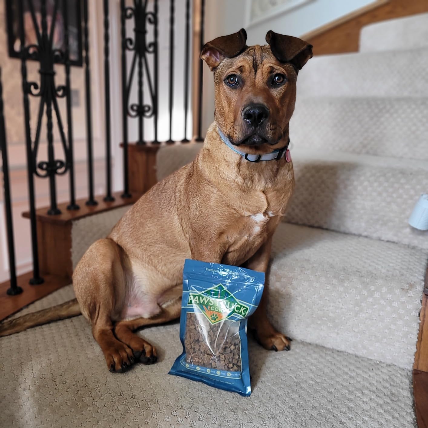 Pawstruck Air Dried Dog Food Topper & Mixer, Chicken Recipe, 8 oz customer photo 1