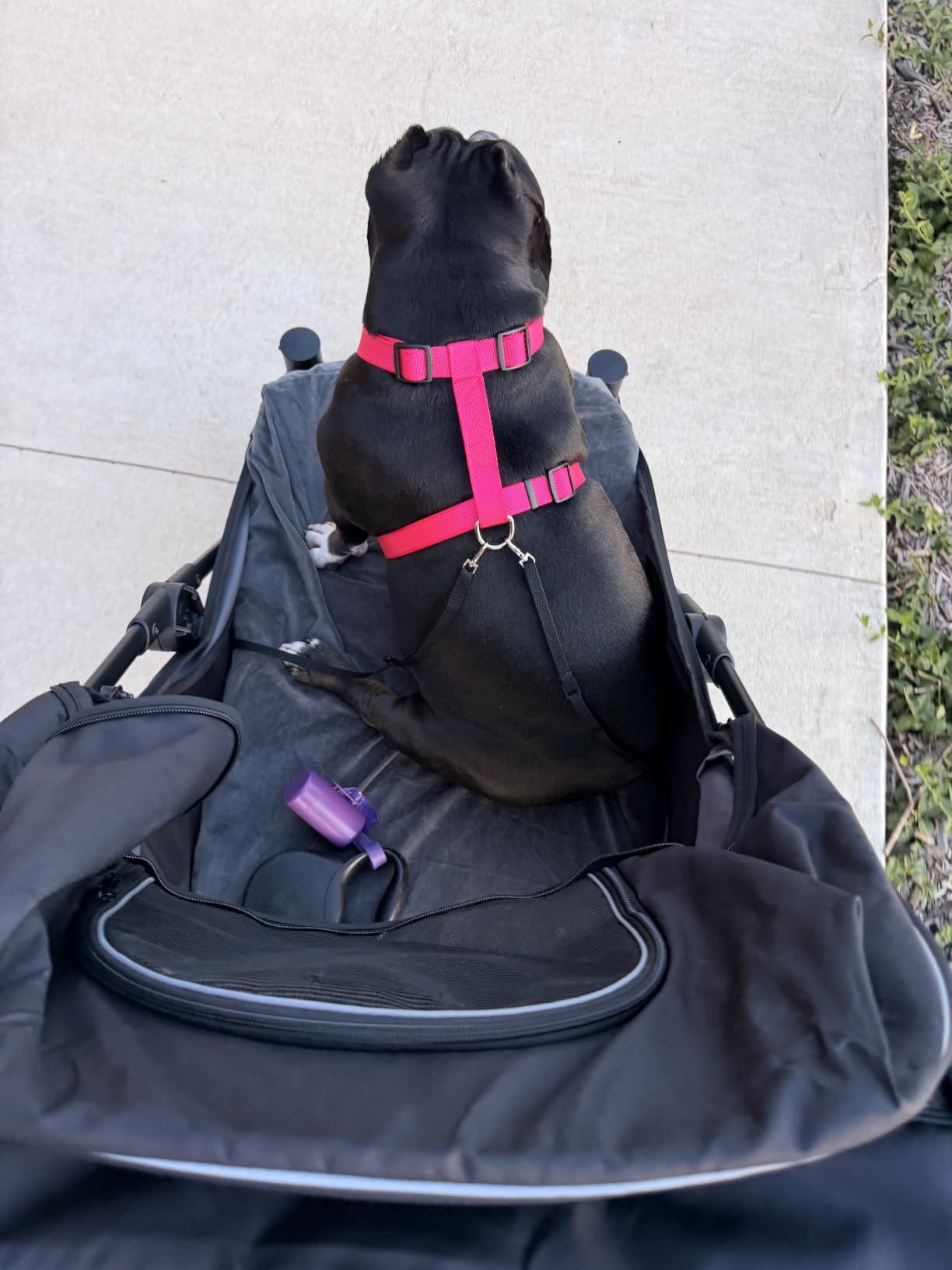 PawHut Dog Stroller for Large Medium Small Dogs up to 66 Lbs. 23.5