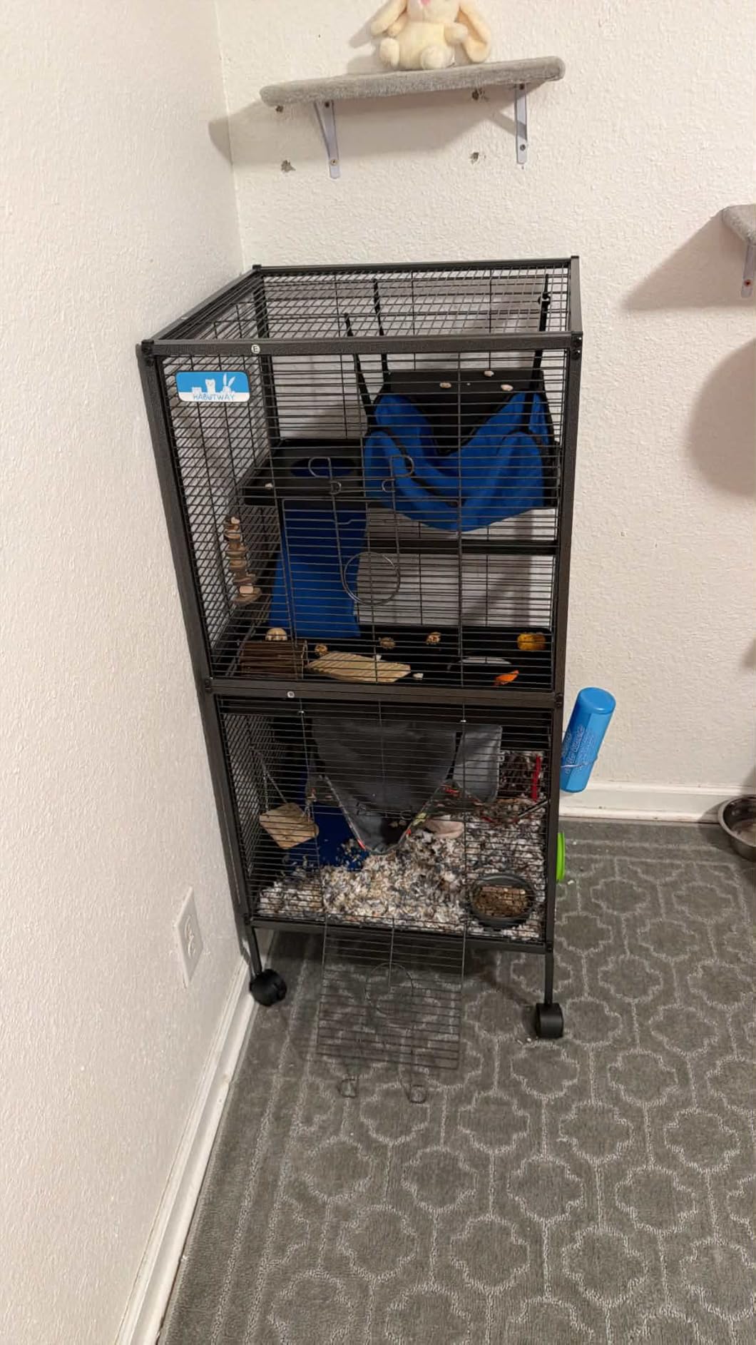 HABUTWAY 50''H Metal Small Animal Cages, Rolling Chinchilla Cage with Removable Ramps, Lagre Cage for Chinchillas/Guinea Pigs/Rabbit, Ferret Cages with Hammock & 5 Tiers, Black customer photo 1