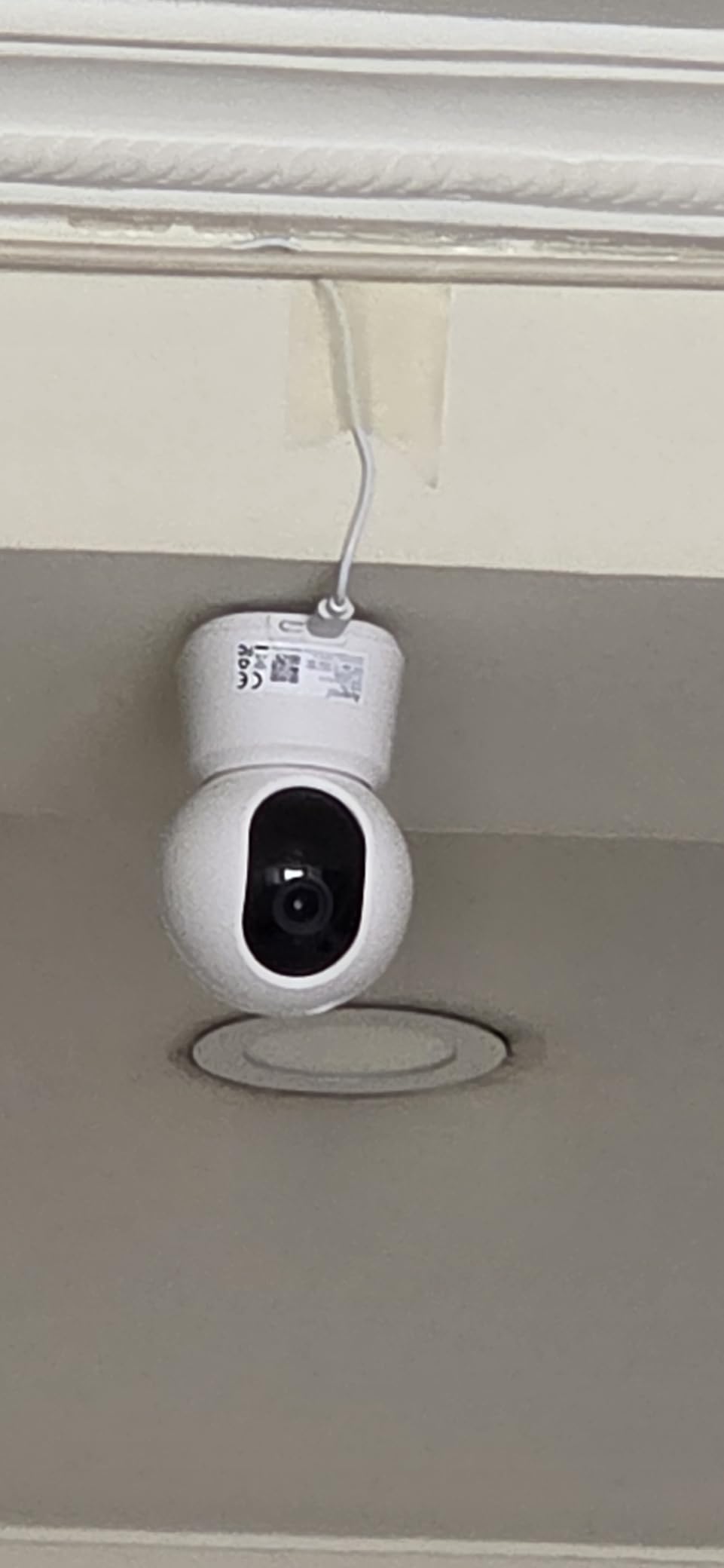 ARENTI 4MP Pet Camera P2Q, 5G WiFi 6 Indoor Security Camera, Free Phone App customer photo 1