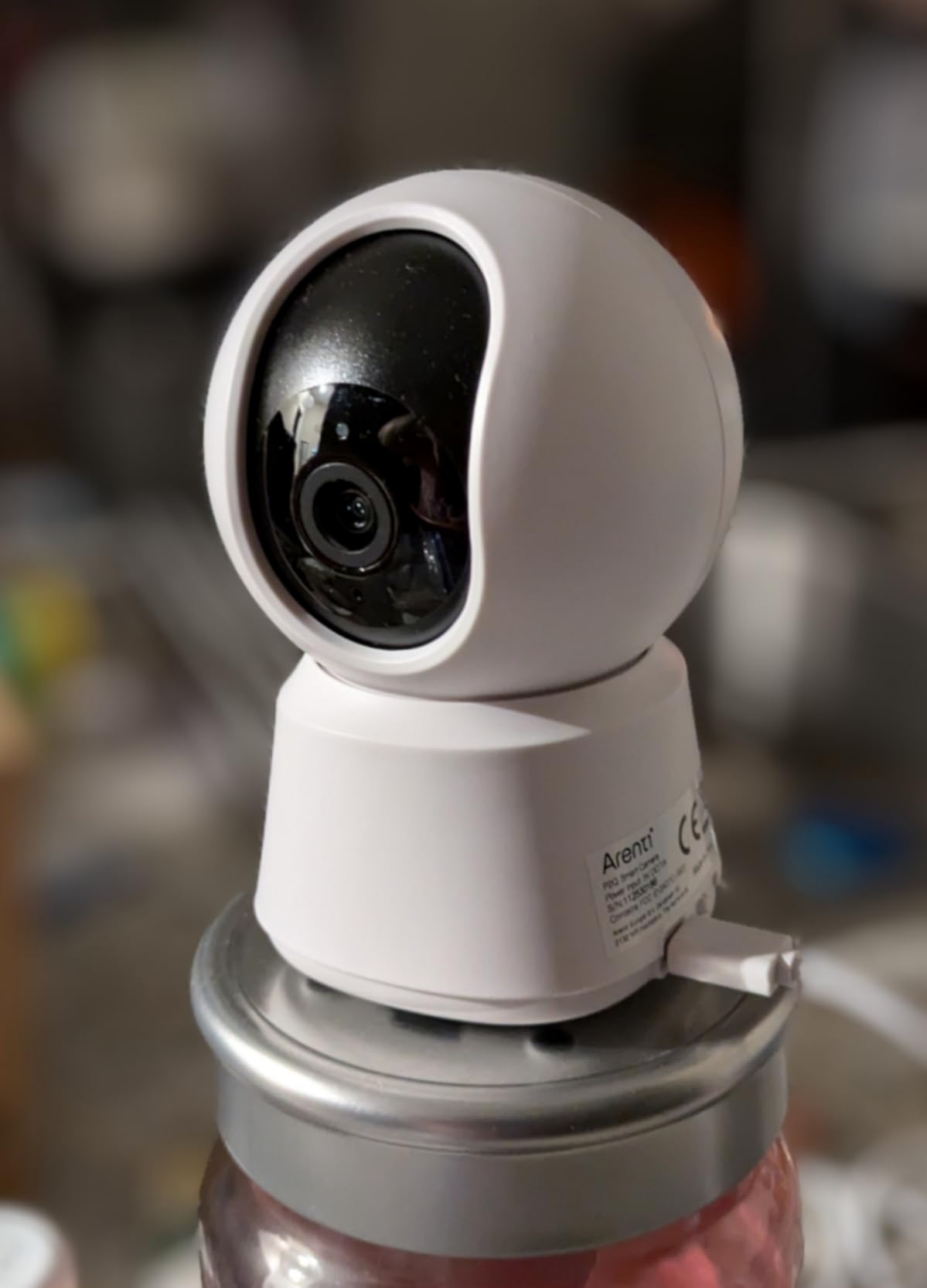 ARENTI 4MP Pet Camera P2Q, 5G WiFi 6 Indoor Security Camera, Free Phone App customer photo 2
