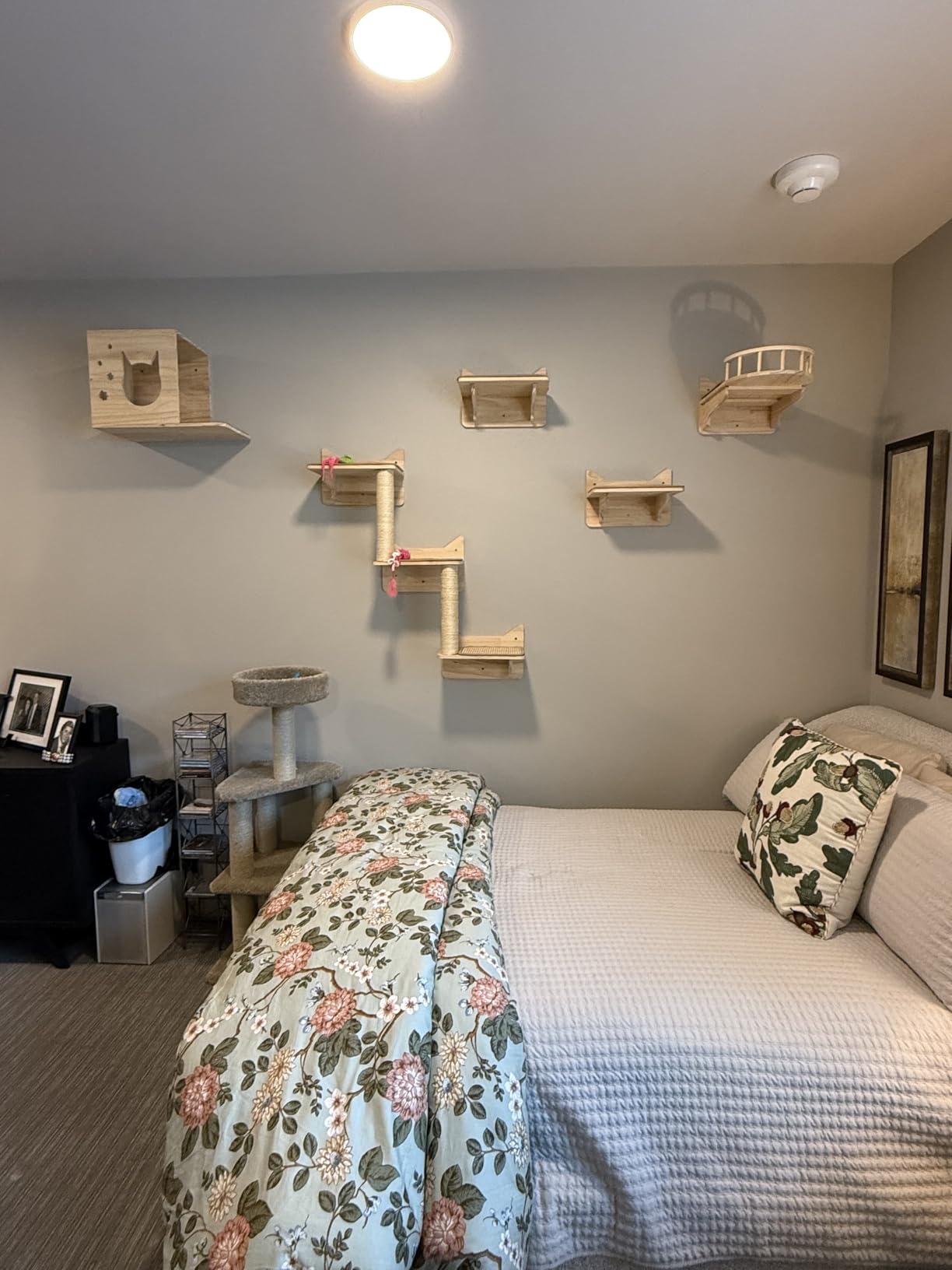 Cat Wall Shelves, 9-Piece Cat Wall Furniture for Large Cats customer photo 1
