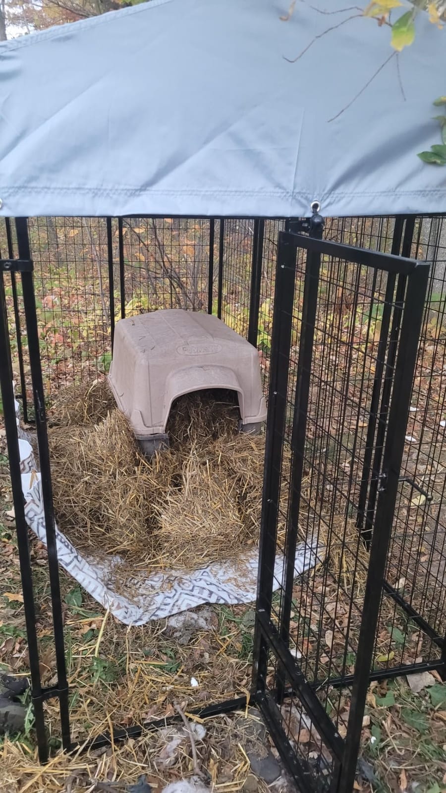 LEMBERI 8x4x6FT Outdoor Dog Kennel for Large Dogs, Heavy Duty customer photo 2