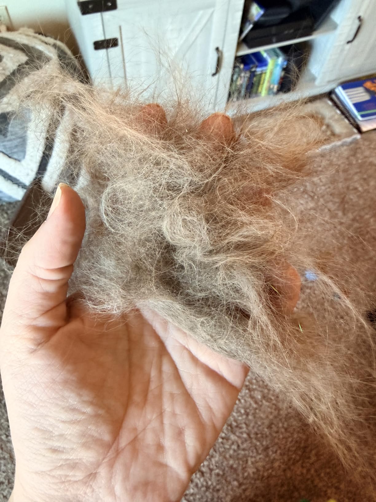 Docrok Pet Grooming Combo - Blue Deshedding Brush with Metal Comb for Detangling and Dematting Long, Matted Fur on Cats and Dogs customer photo 1