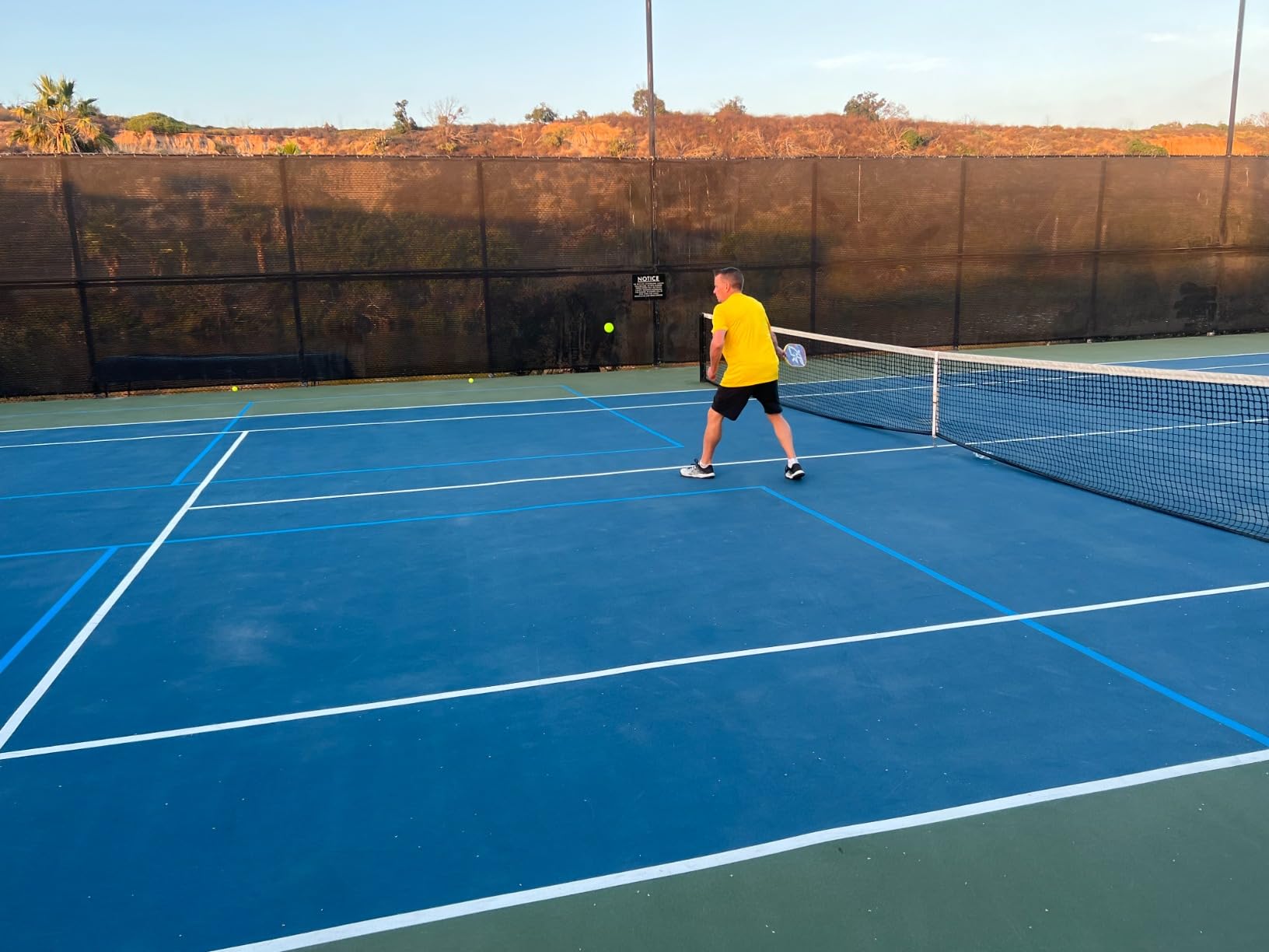 GoSports GS 40 Pickleball Balls - 4, 12, or 36 Pack of Regulation USAPA Pickleballs customer photo 2