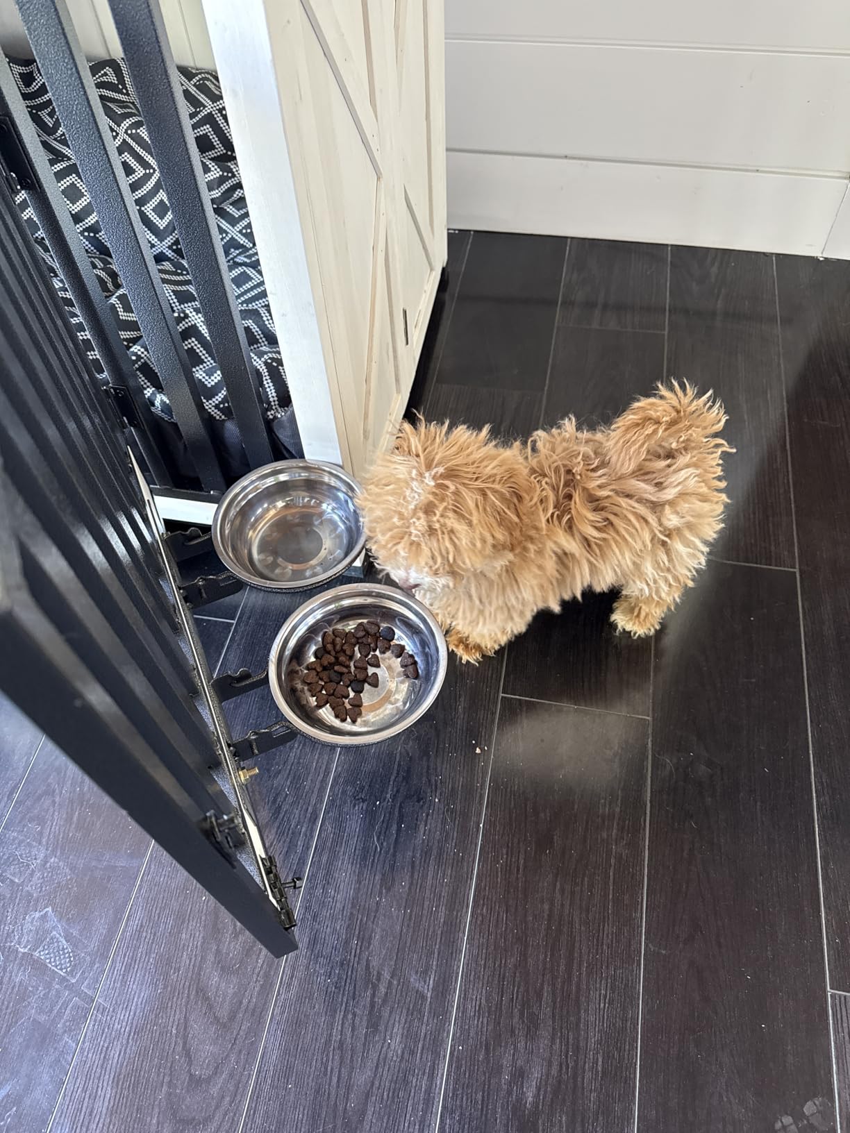 Solid Gold Small Breed Chicken Dry Dog Food, Grain Free, Small Bites 3.75LB customer photo 1