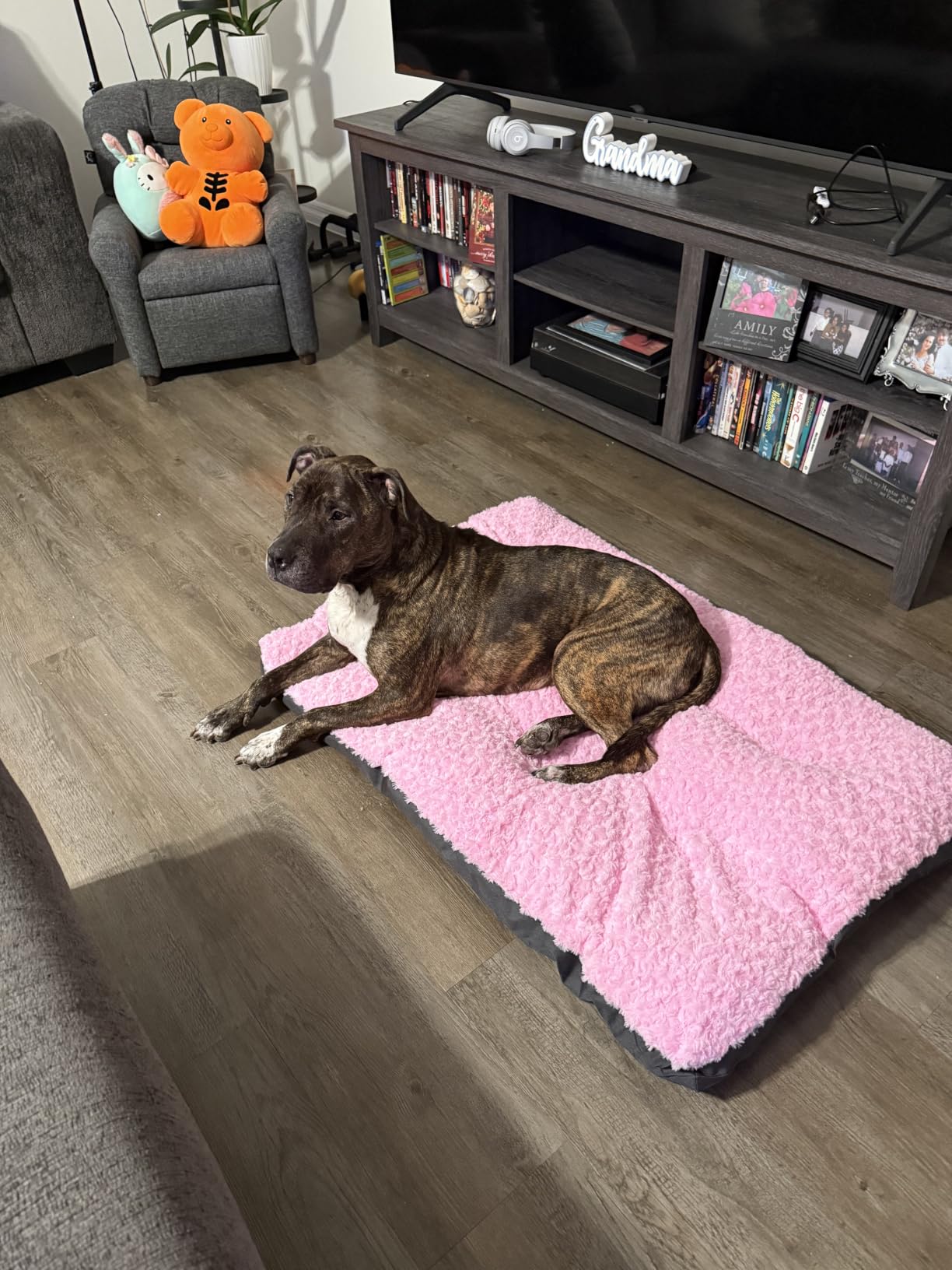 POCBLUE Deluxe Washable Dog Bed for Large Dogs Dog Crate Mat 35 Inch Comfy Fluffy Kennel Pad Anti-Slip for Dogs Up to 60 lbs, 35