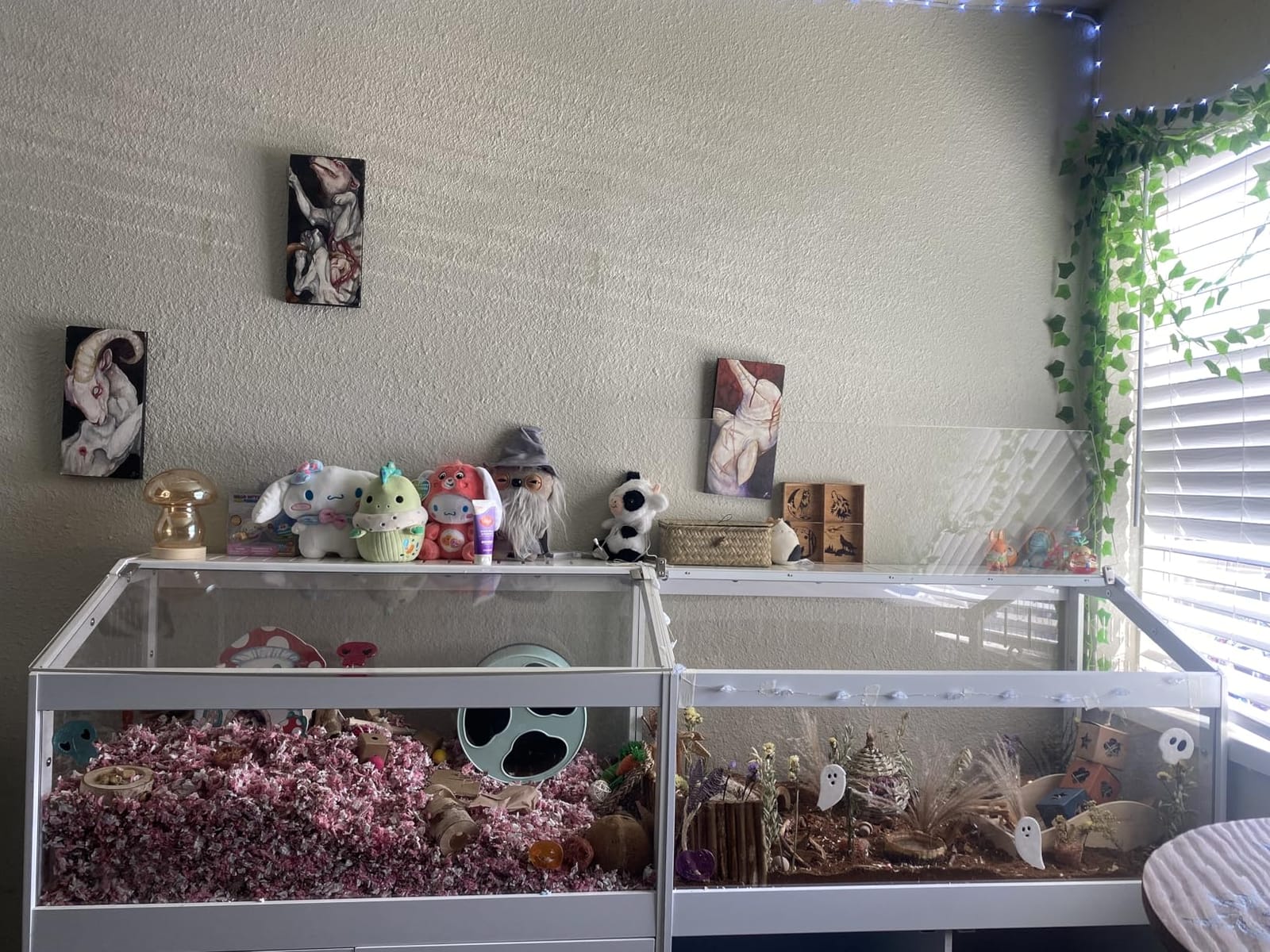 GDLF Hamster Cage with Acrylic Panels and Storage, 39.5 x 19.7 Inch customer photo 2