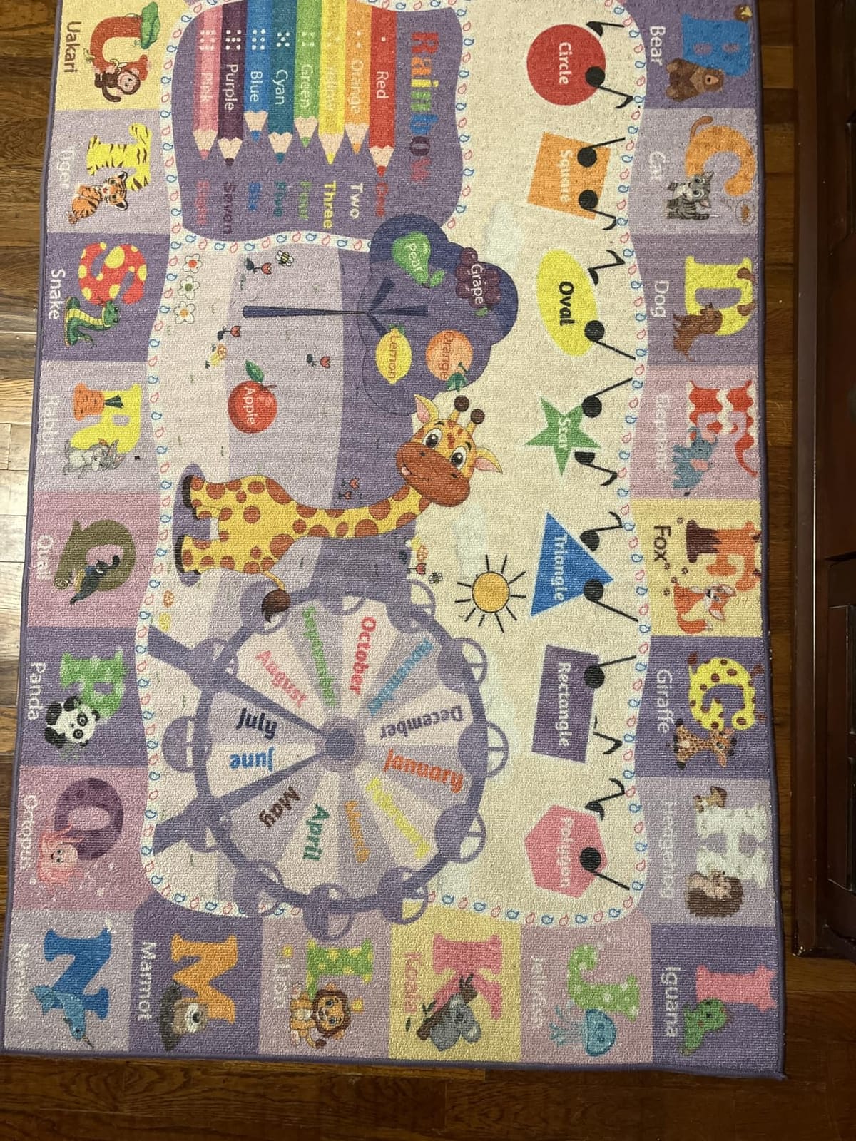 BENRON 4x6 Kids Rug for Playroom Classroom, Fun Play Mat with ABC Alphabet customer photo 1