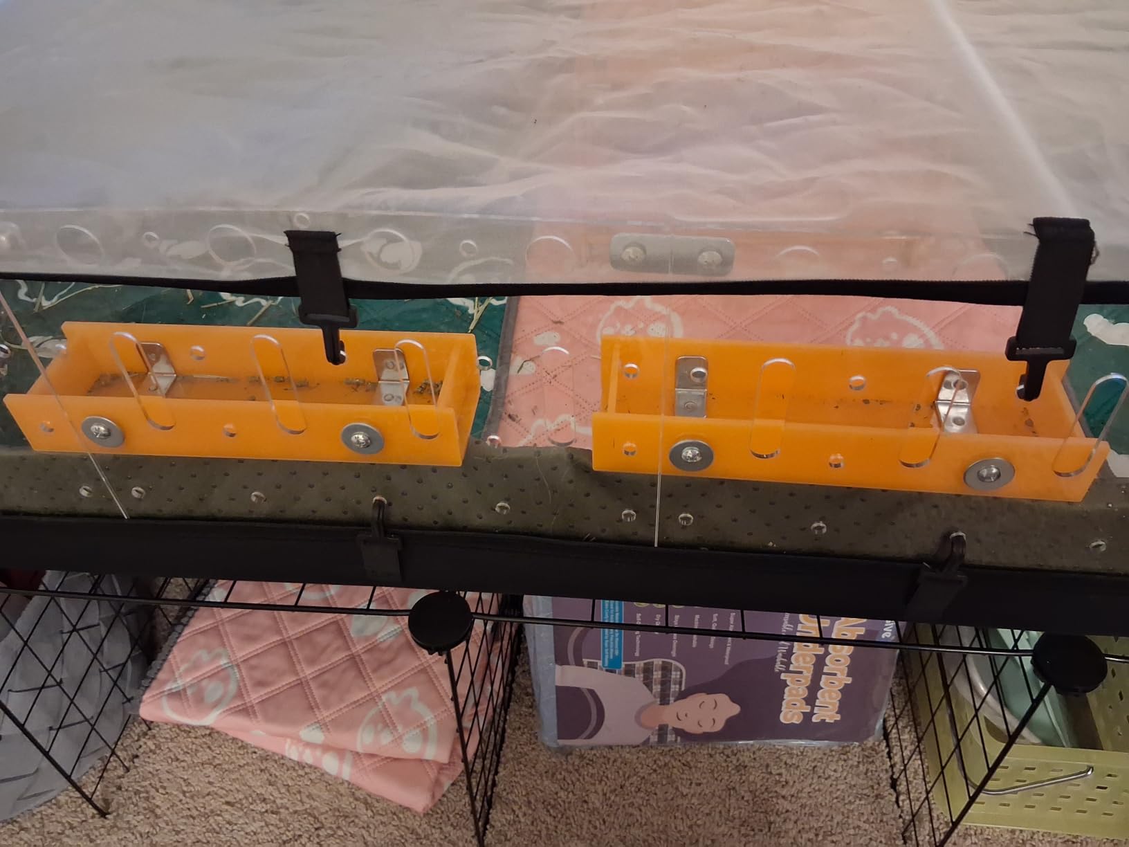 GuineaLoft™ Model-A Acrylic Guinea Pig Cage - Large 4x2ft Expandable C&C customer photo 1
