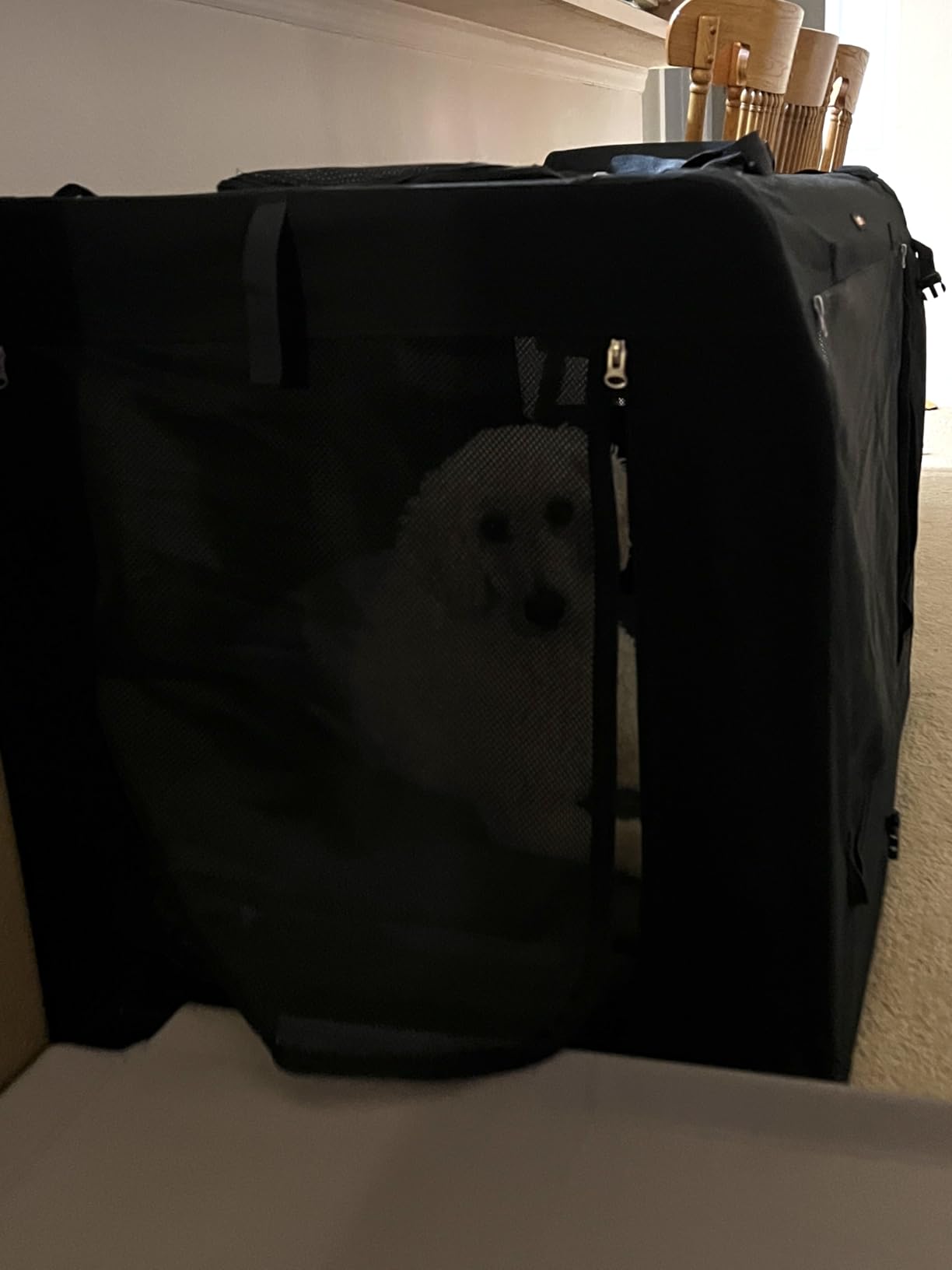 Feandrea Collapsible Soft Dog Crate, Portable Travel Carrier, 48 Inches customer photo 1