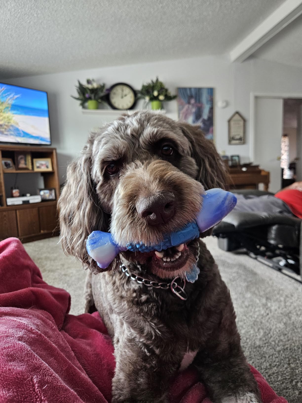 WinTour Tough Dog Toys for Aggressive Chewers, Indestructible Dog Chew Toys customer photo 2