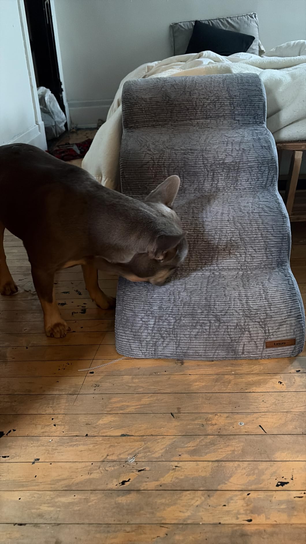 Lesure Dog Stairs for Small Dogs, Beige, 4 Step Pet Ramp for Bed and Couch customer photo 1