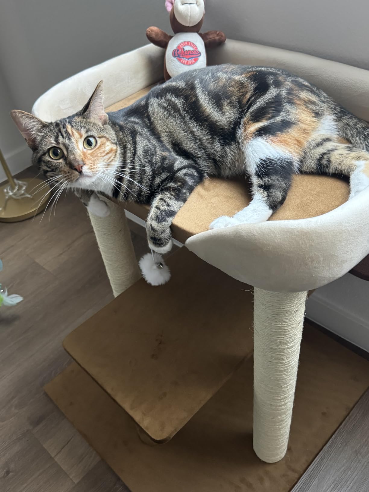 SHENGOCASE Modern Cat Tree Tower with Extra Large Platform Perch Bed for Maine Coon and Big Couch Sofa for Multiple Cats customer photo 1
