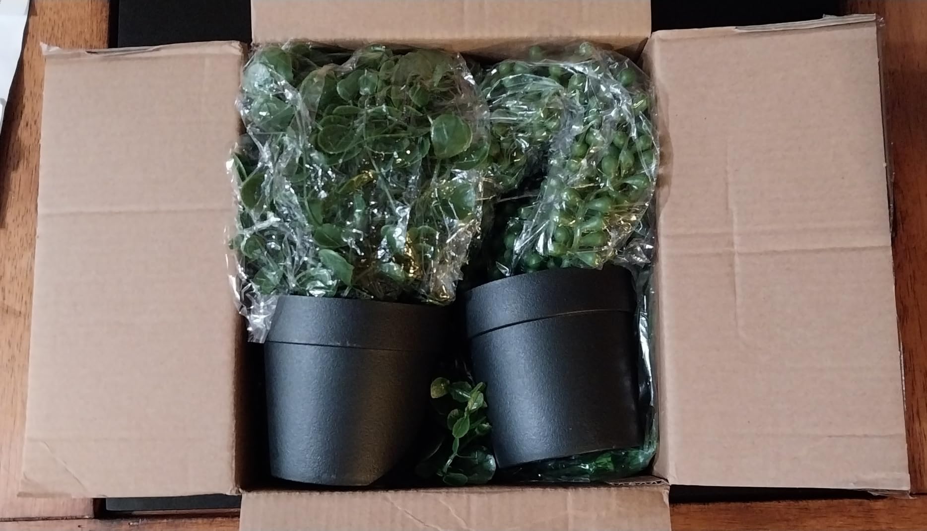 Der Rose 4Pcs Fake Hanging Plants with Lush Cascading Greenery customer photo 1