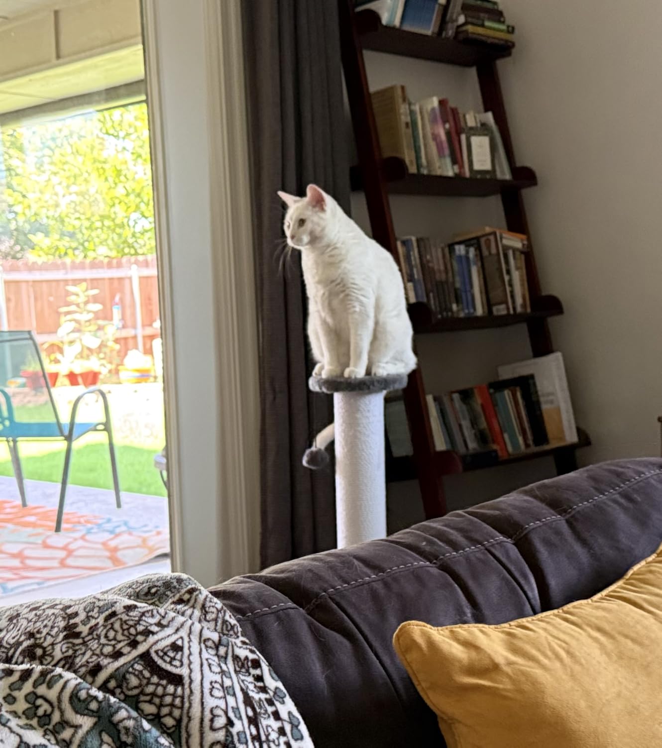 34-Inch Tall Cat Scratching Post for Large Cats, Stable Base, Gray customer photo 1