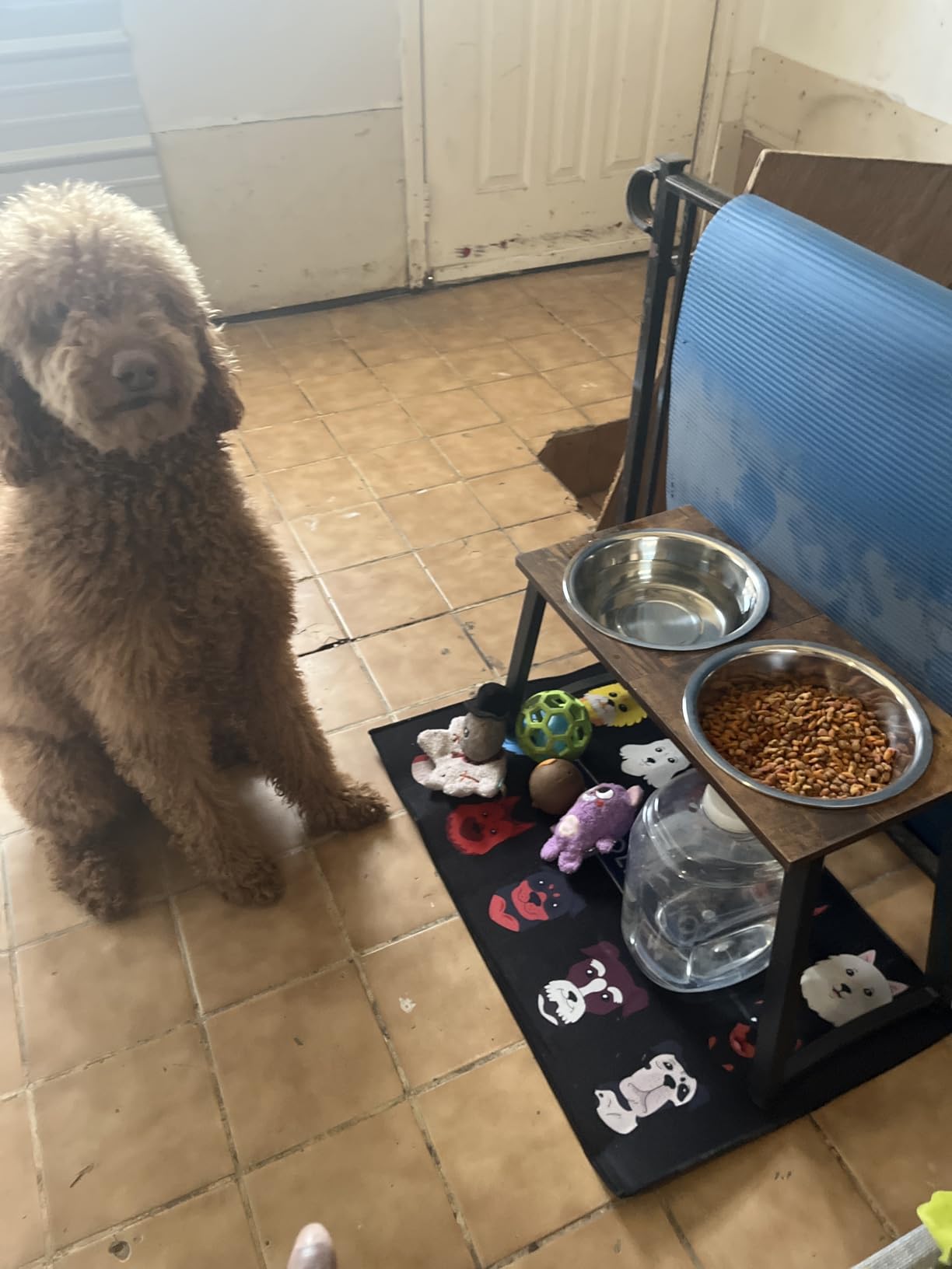 Elevated Dog Bowls for X-Large Dogs with Spill Proof Mat 2 X-Large 3000ML(13CUPS) Stainless Steel Dog Bowls, 16.5