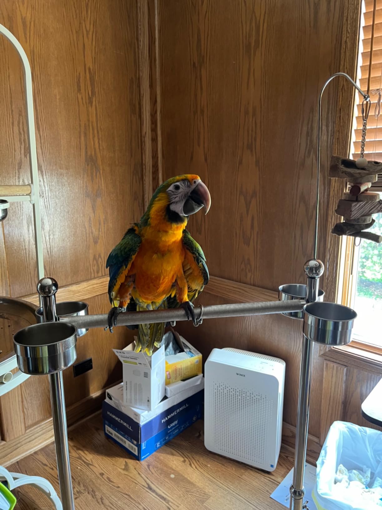 Tandefio Parrot Stand Bird Play Stand 21.65 x 15.35 x 27.95 Inches Large Metal Stainless Steel Bird Playstand Adjustable Height Perch with Universal Wheels and Feeding Bowls customer photo 1