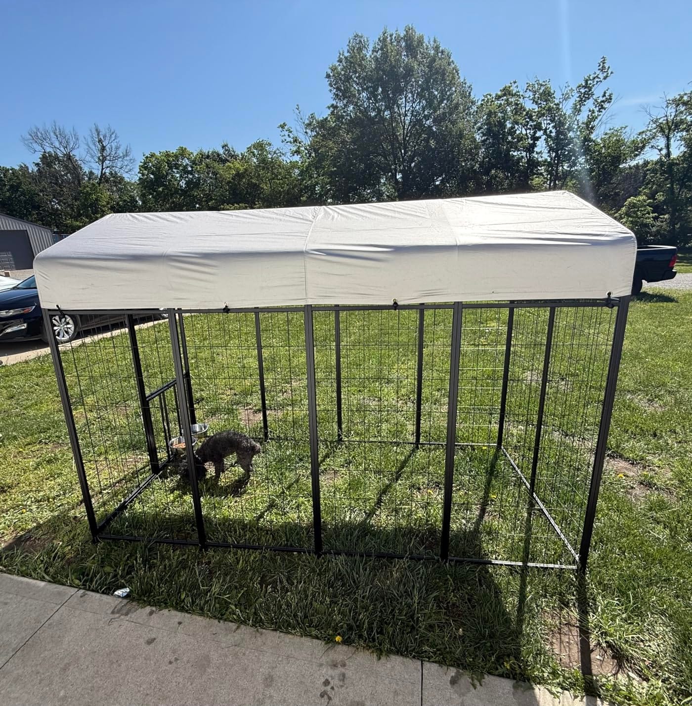 ROOMTEC Heavy Duty Outdoor Dog Kennel with Rotating Bowls, 8 x 4 x 5.6-ft customer photo 1