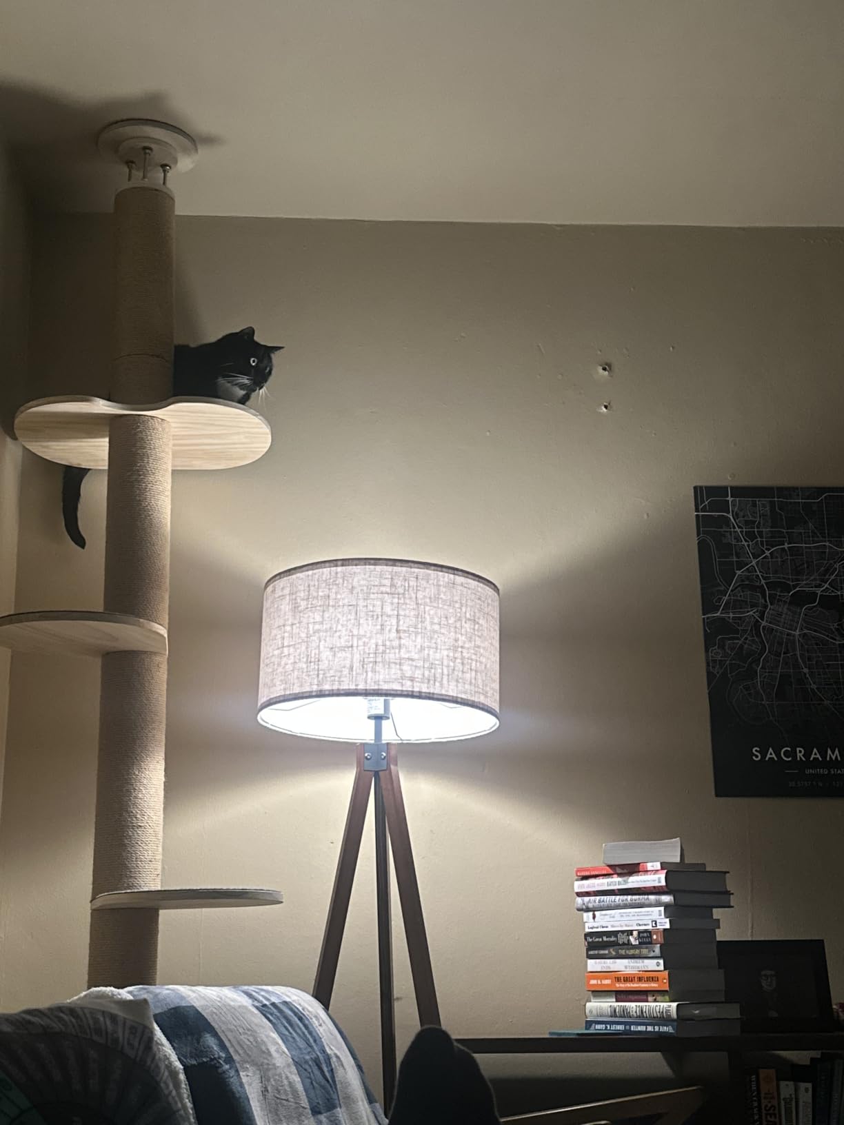 Floor to Ceiling Cat Tree Height (50-120.5in) Adjustable Cat Tower 5 Tier Hemp Scratching Post High Cat Tree Sturdy Activity Tree Indoor Outdoor Cat Scratching Post Activity Center customer photo 1