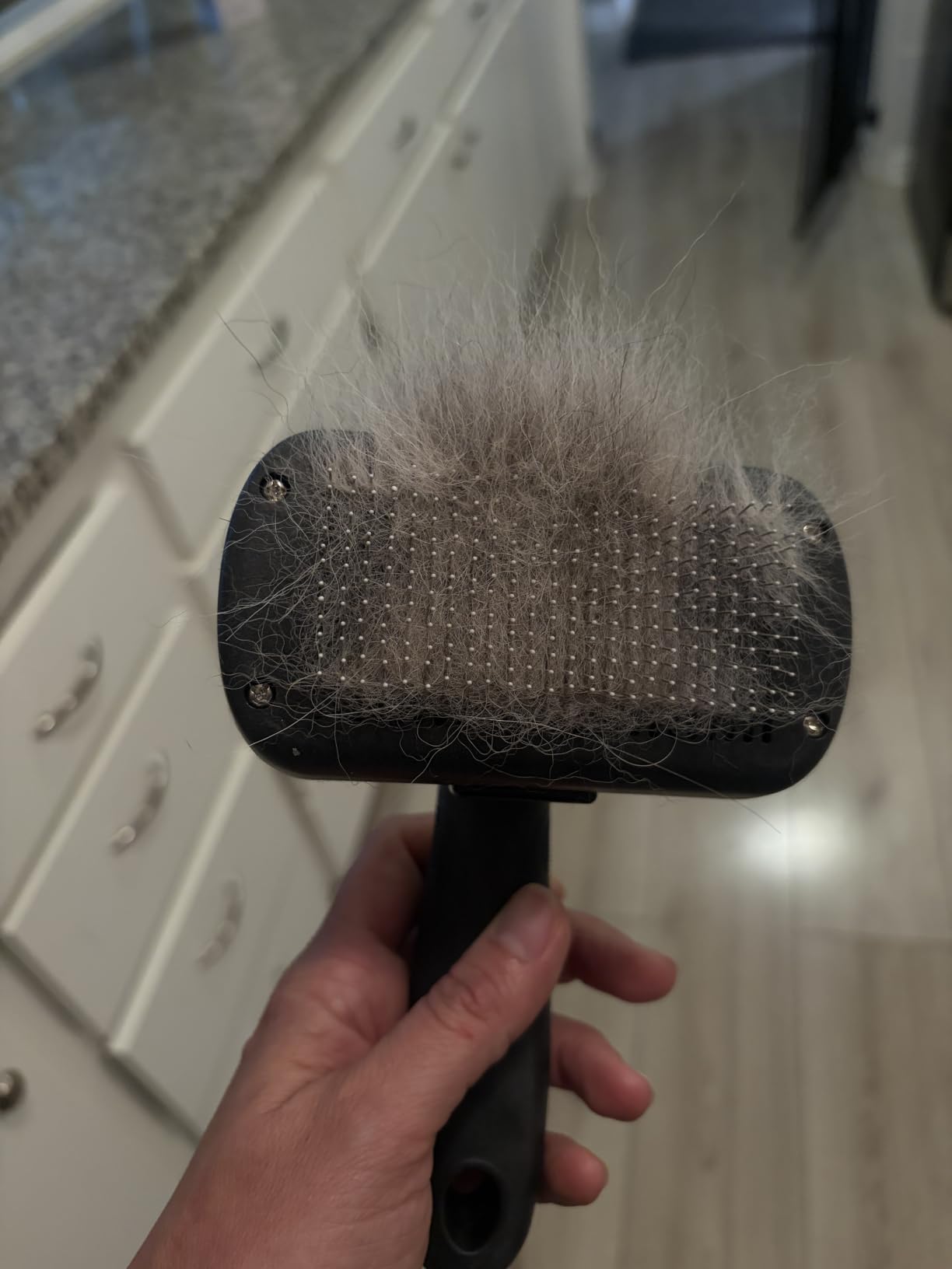 Swihauk Self Cleaning Slicker Brush - Skin Friendly Deshedding Grooming Tool for Dogs & Cats, Suitable for Shedding & Haired Pets, with Pet Supplies Accessories, Blue customer photo 1