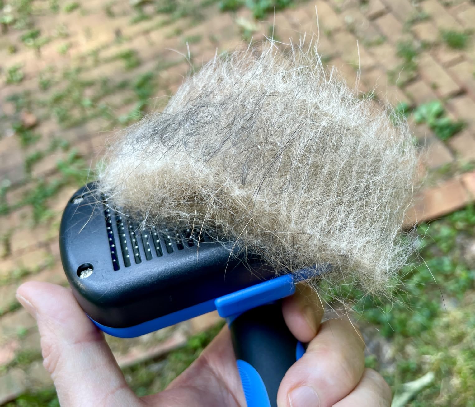 Swihauk Self Cleaning Slicker Brush - Skin Friendly Deshedding Grooming Tool for Dogs & Cats, Suitable for Shedding & Haired Pets, with Pet Supplies Accessories, Blue customer photo 2