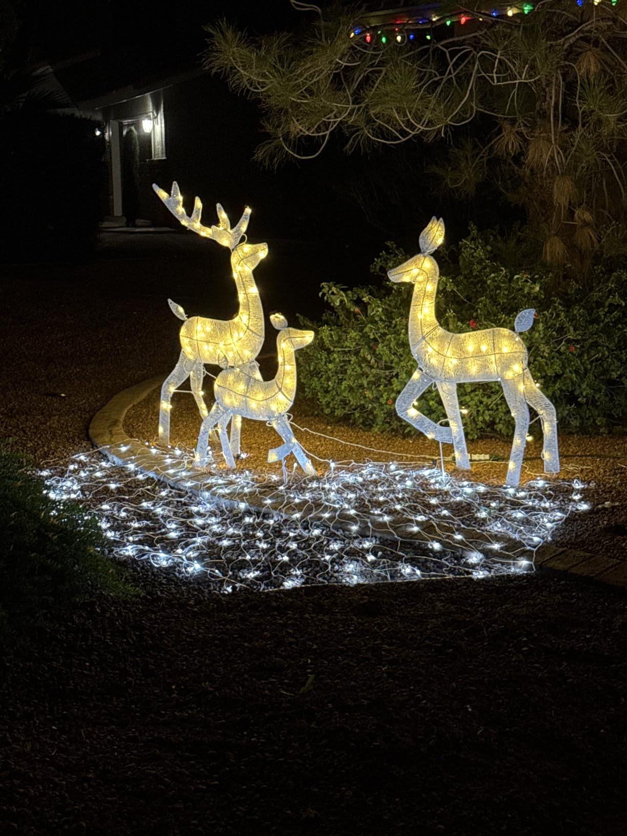 Best Choice Products 4ft 3-Piece 2D Lighted Christmas Deer Family Set, Large Outdoor Yard Reindeer Holiday Decoration with 175 LED Lights, Stakes, Zip Ties - Gold customer photo 1