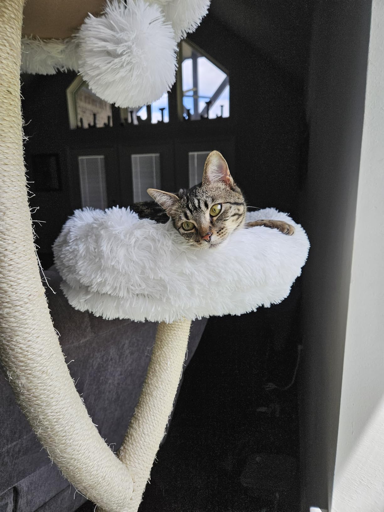PETSITE 70