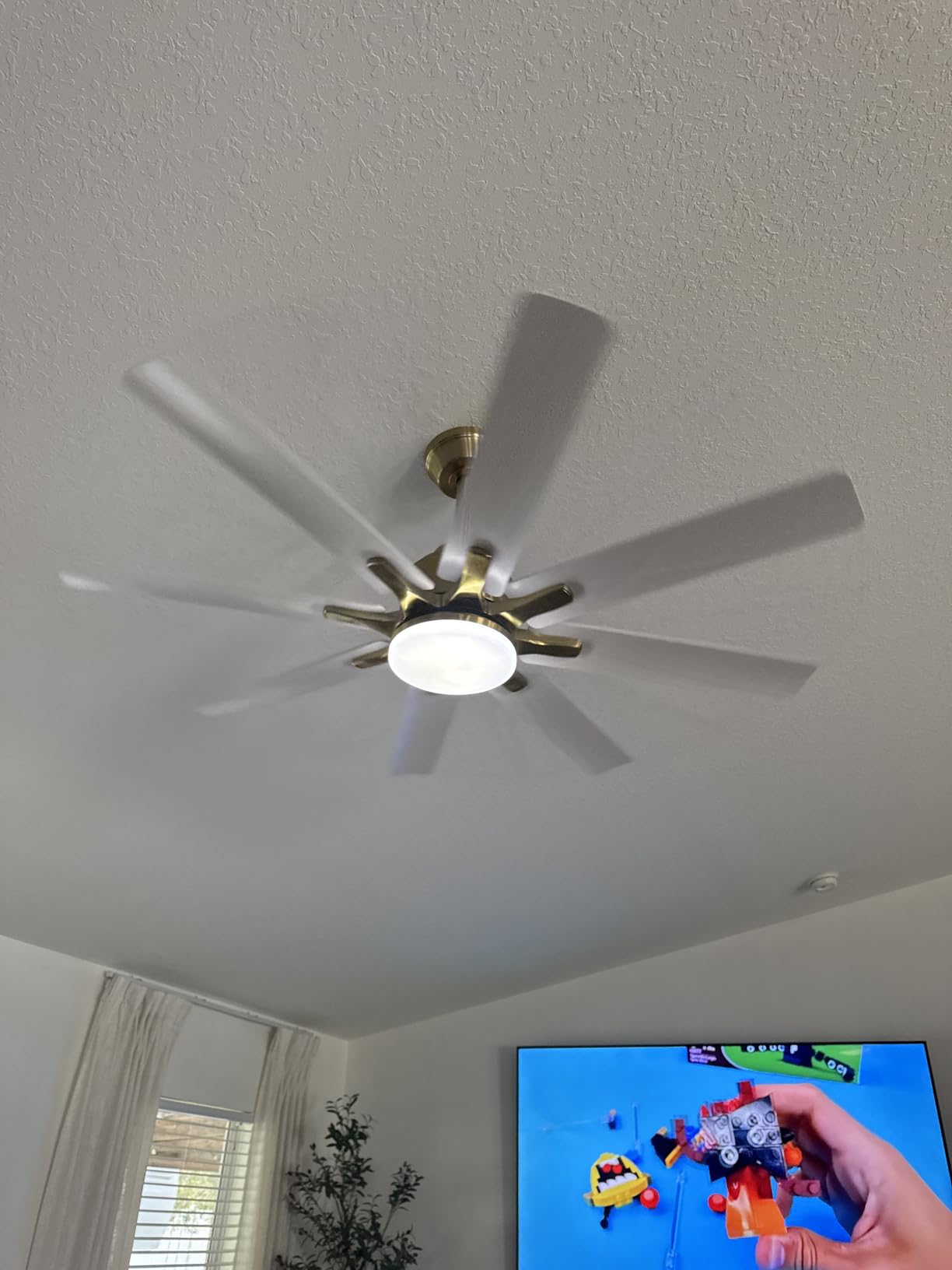 Sofucor 66 Inch Smart Ceiling Fans with Lights, Large Ceiling Fan, Black customer photo 2