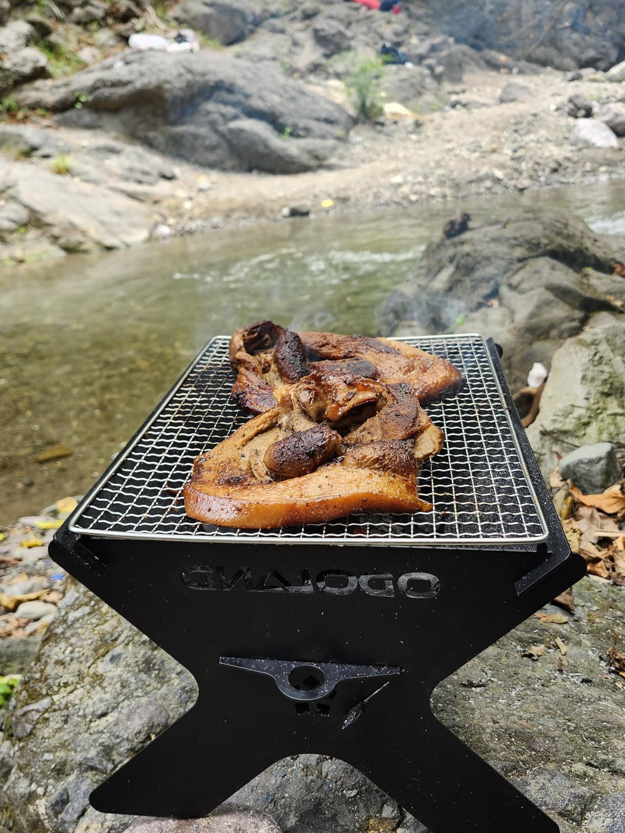 Odoland Portable Folding Charcoal Grills for Outdoor Cooking Bonfire BBQ customer photo 2
